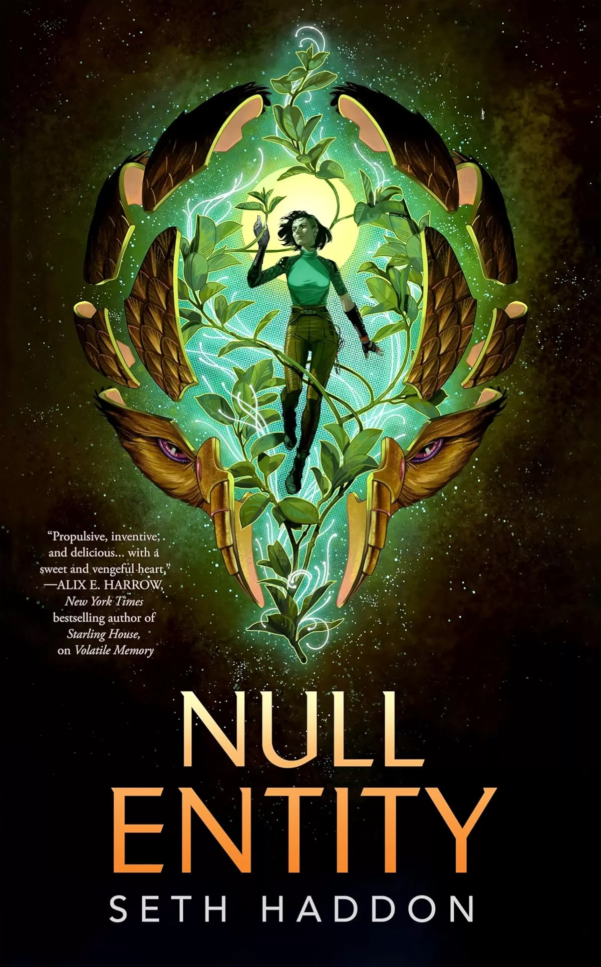 Null Entity (The Volatile Memory Duology #2) by Seth Haddon