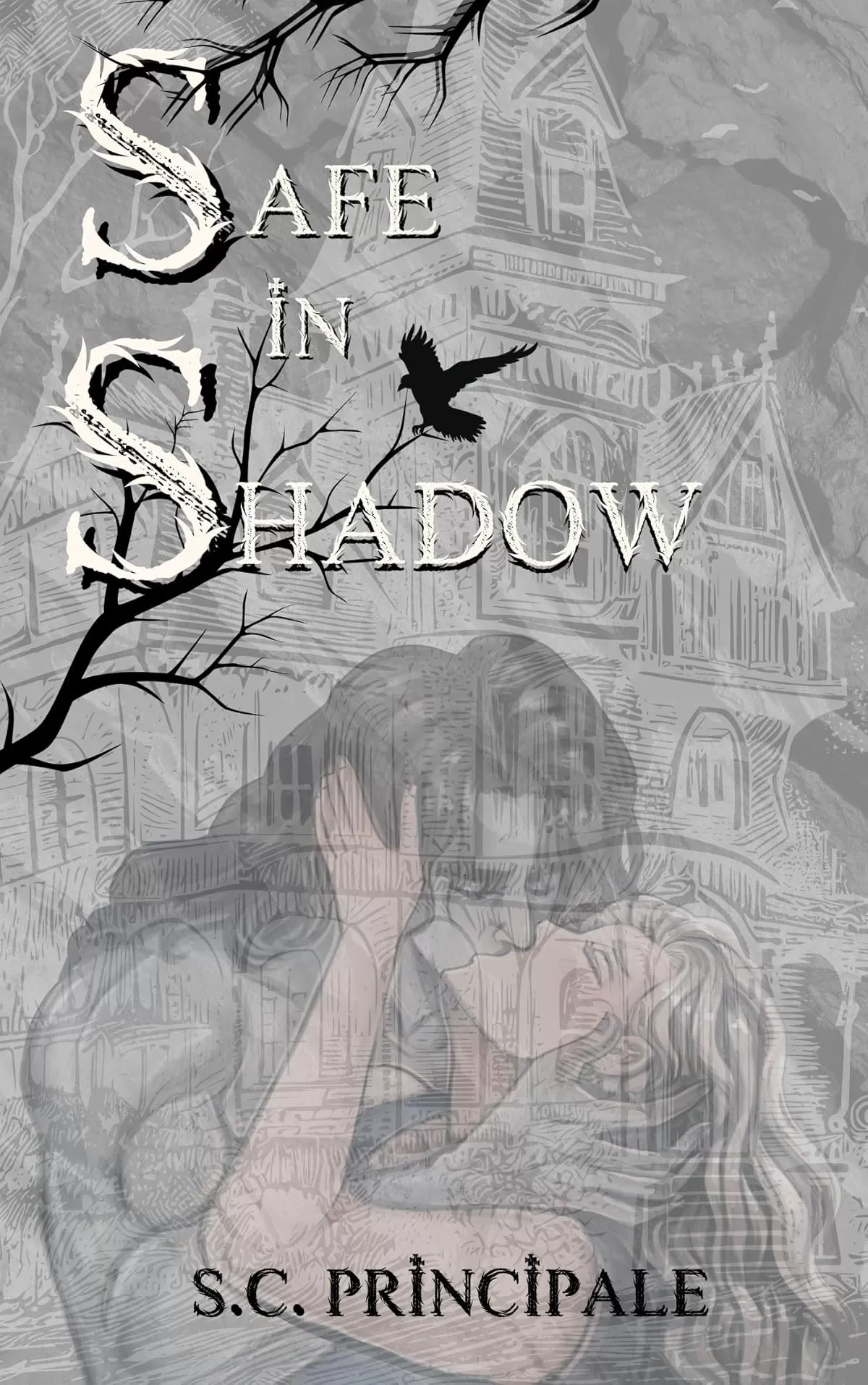 Safe in Shadow (Pine Ridge Universe) by S.C. Principale
