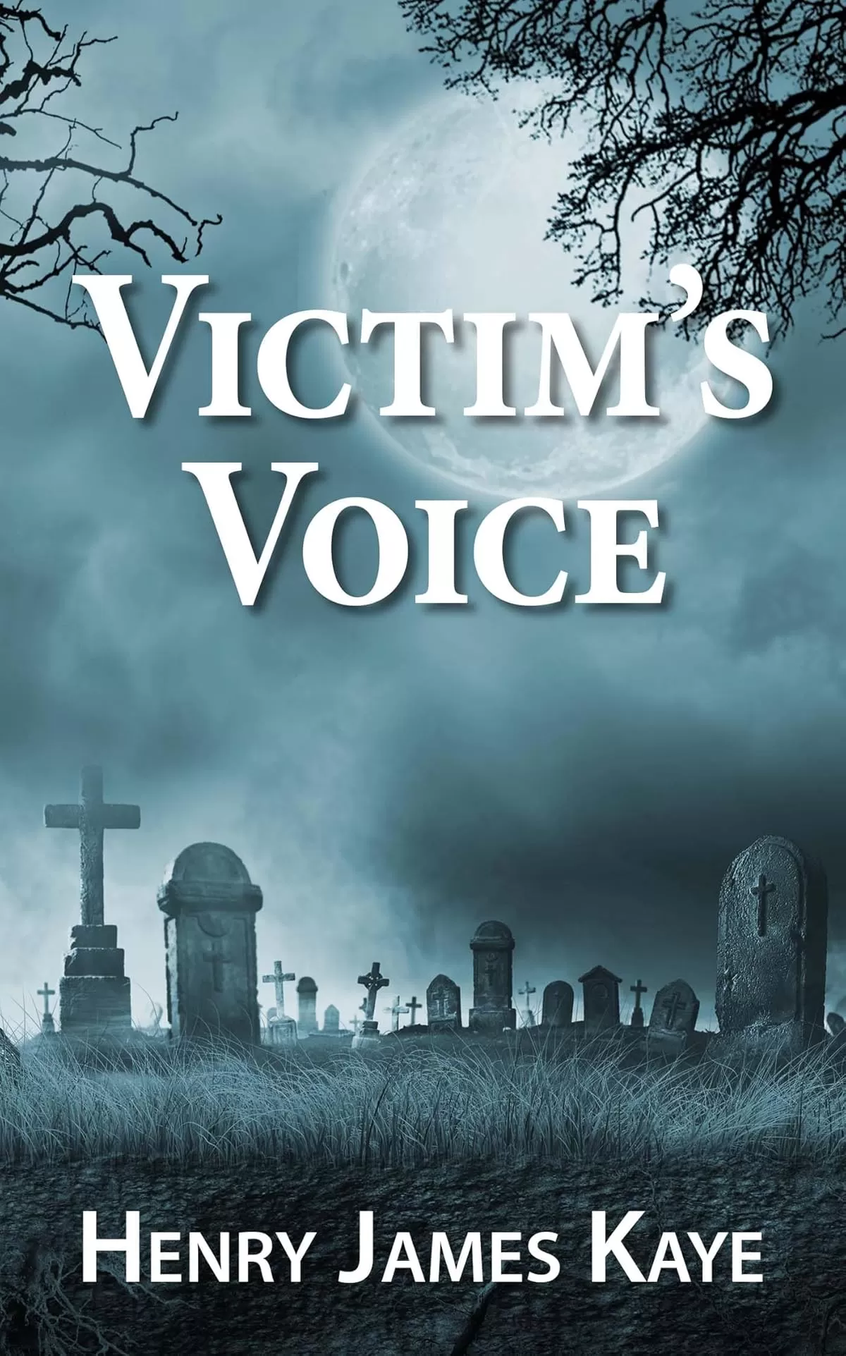 Victim's Voice (Malcolm Gee Mysteries #2) by Henry James Kaye