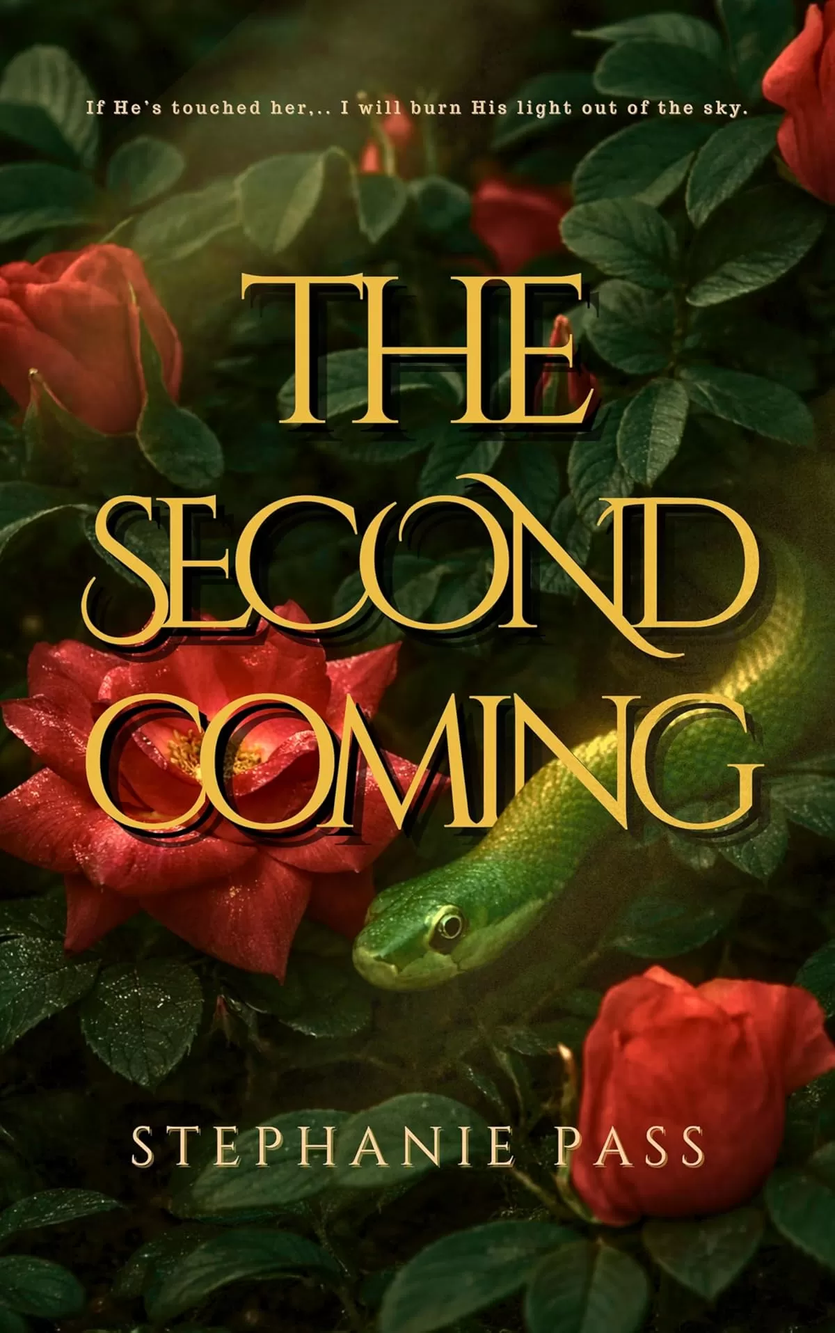 The Second Coming (Hell of a Time #2) by Stephanie Pass