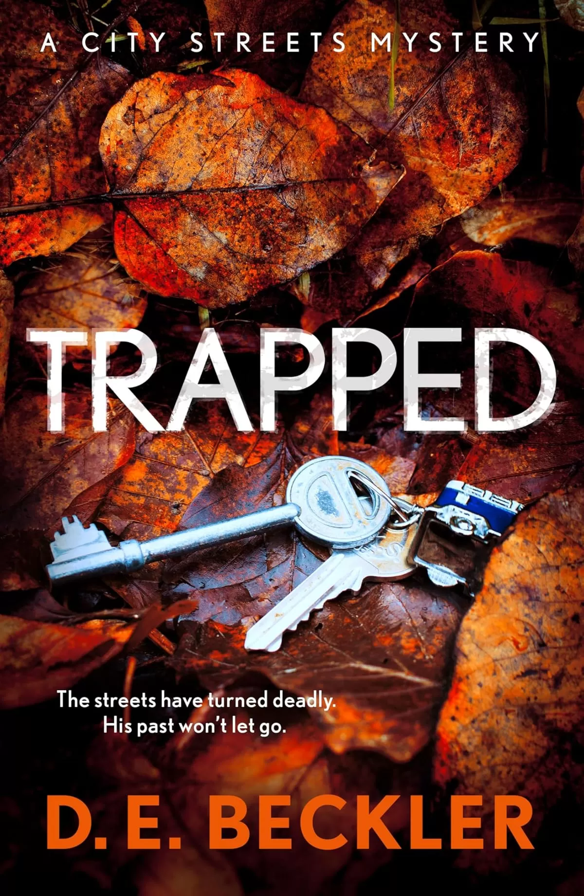 Trapped (City Streets Mysteries #3) by D. E. Beckler