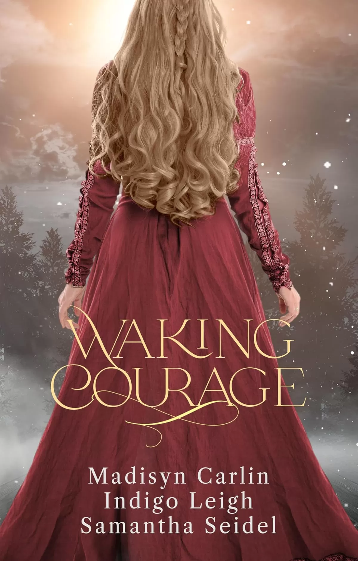 Waking Courage: A Collection of Fantasy Fairy Tale Retellings (Fairy Tale Frenzy) by Madisyn Carlin, Indigo Leigh, Samantha Seidel