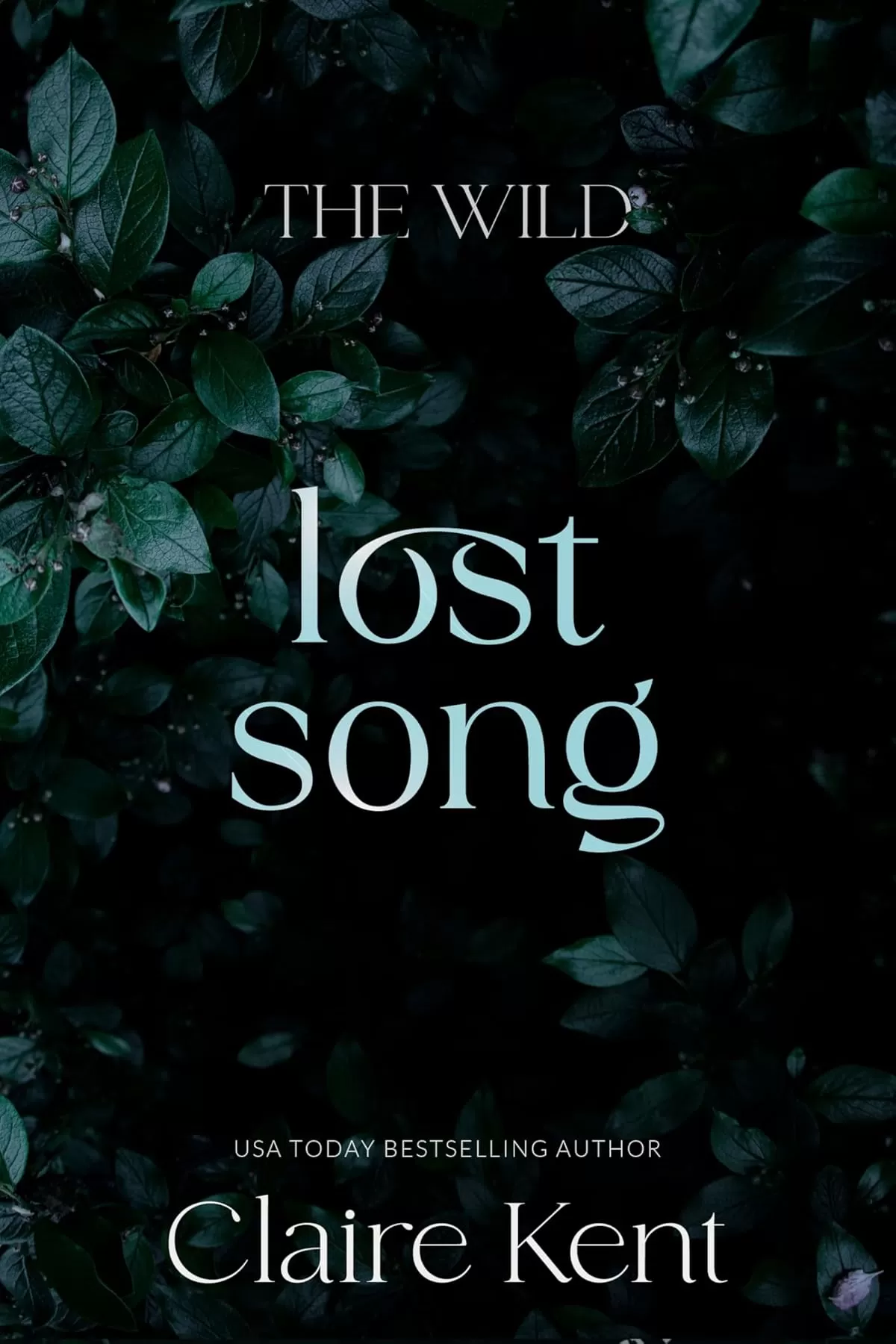 Lost Song (The Wild #1) by Claire Kent
