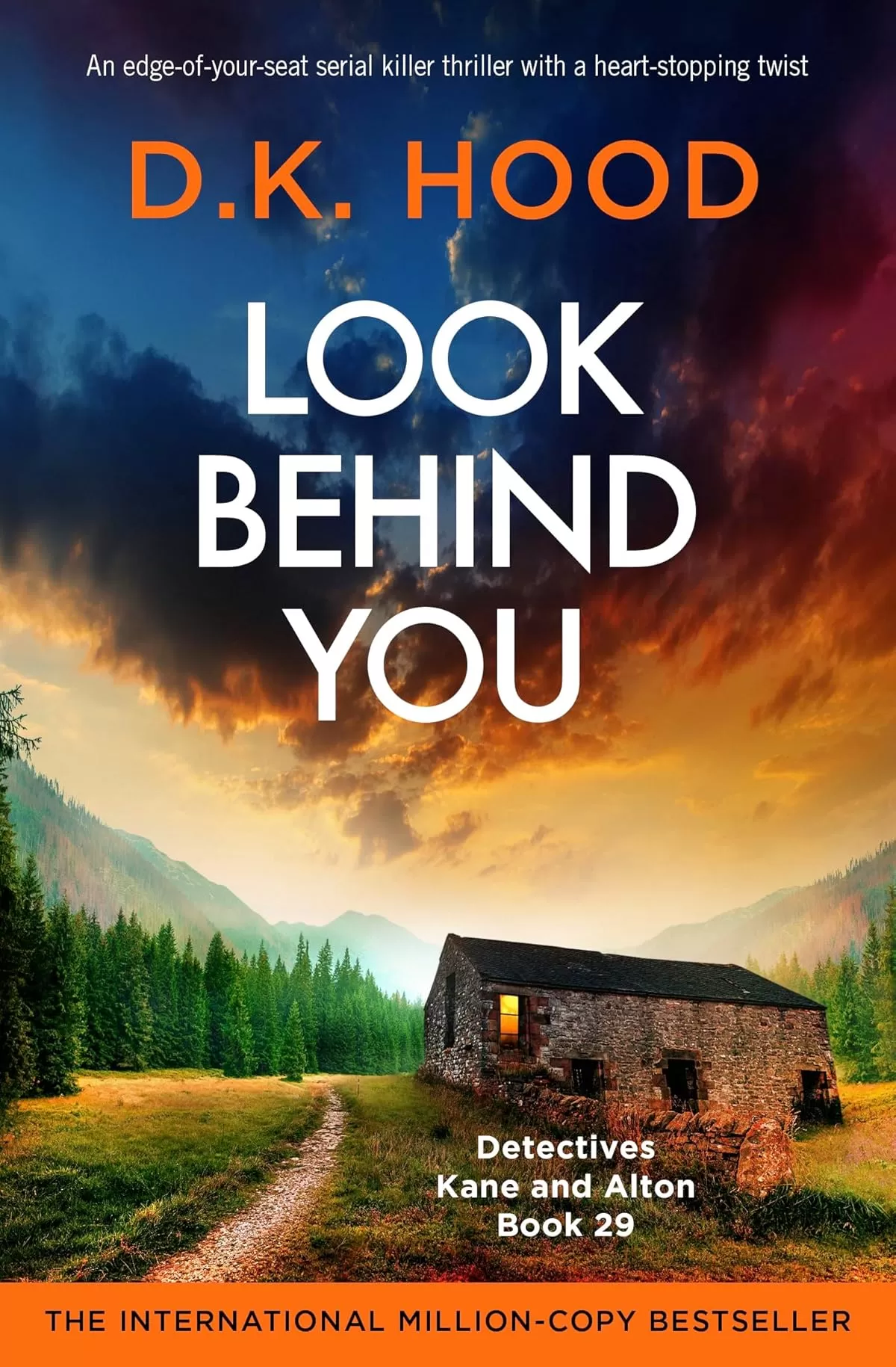 Look Behind You (Detectives Kane and Alton #29) by D.K. Hood