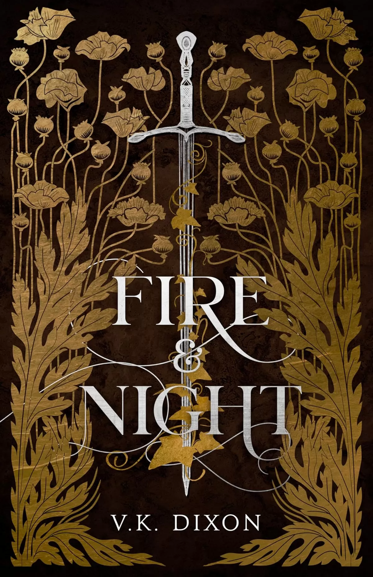 Fire & Night (Warriors & Mages #1) by V.K. Dixon
