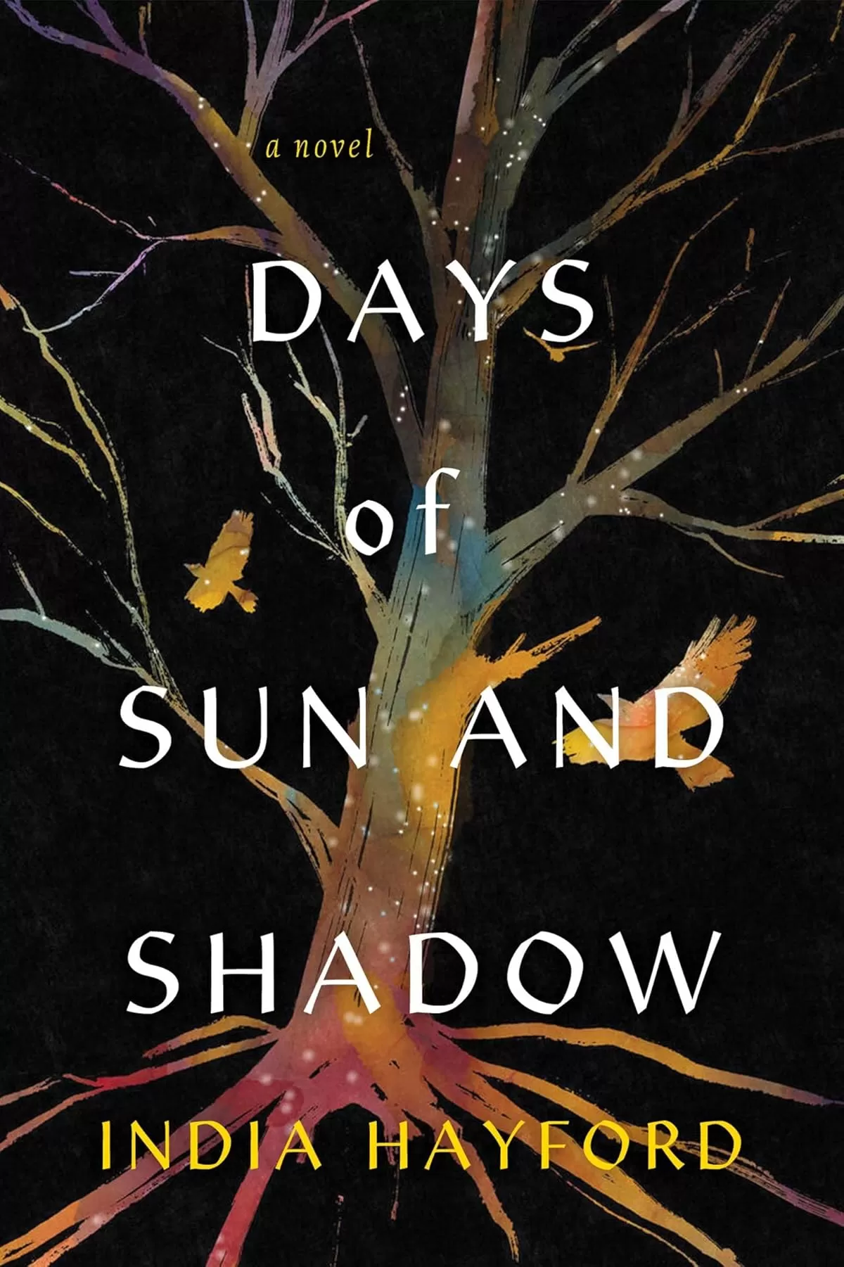 Days of Sun and Shadow by India Hayford
