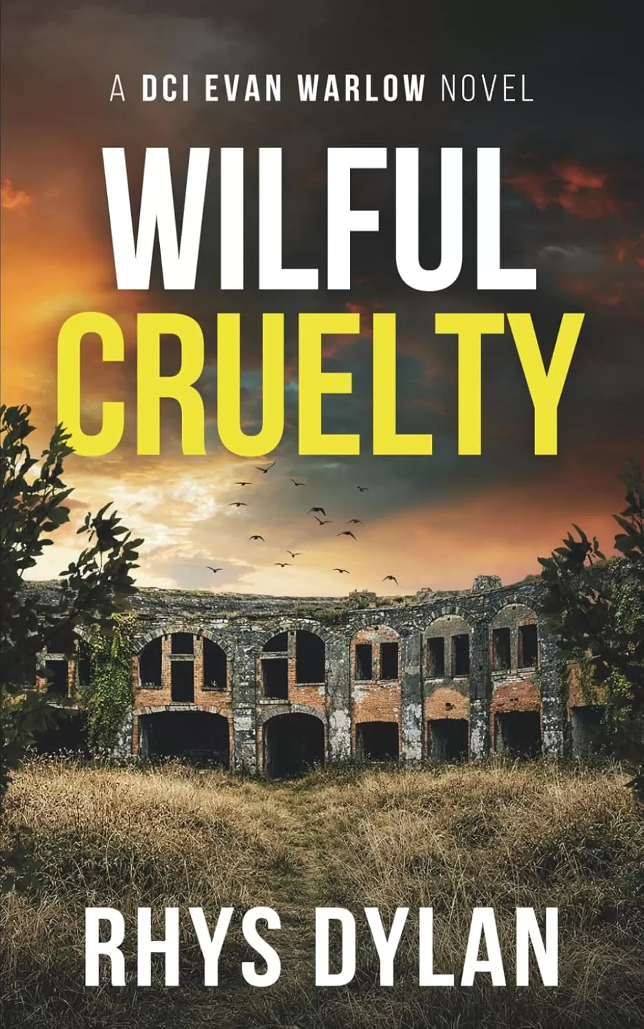 Wilful Cruelty (DCI Evan Warlow Crime Thriller #20) by Rhys Dylan