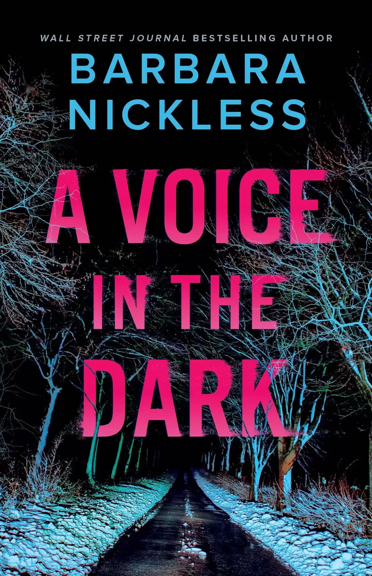 A Voice in the Dark (Benedict Hoffman and Helen Belle #1) by Barbara Nickless