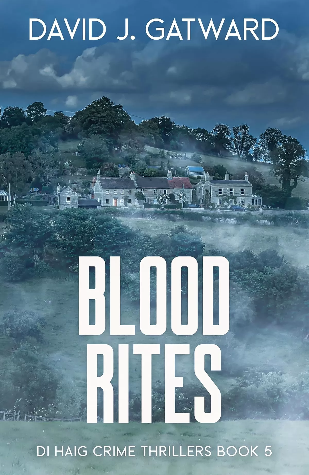 Blood Rites (DI Haig Crime Thrillers #5) by David J. Gatward