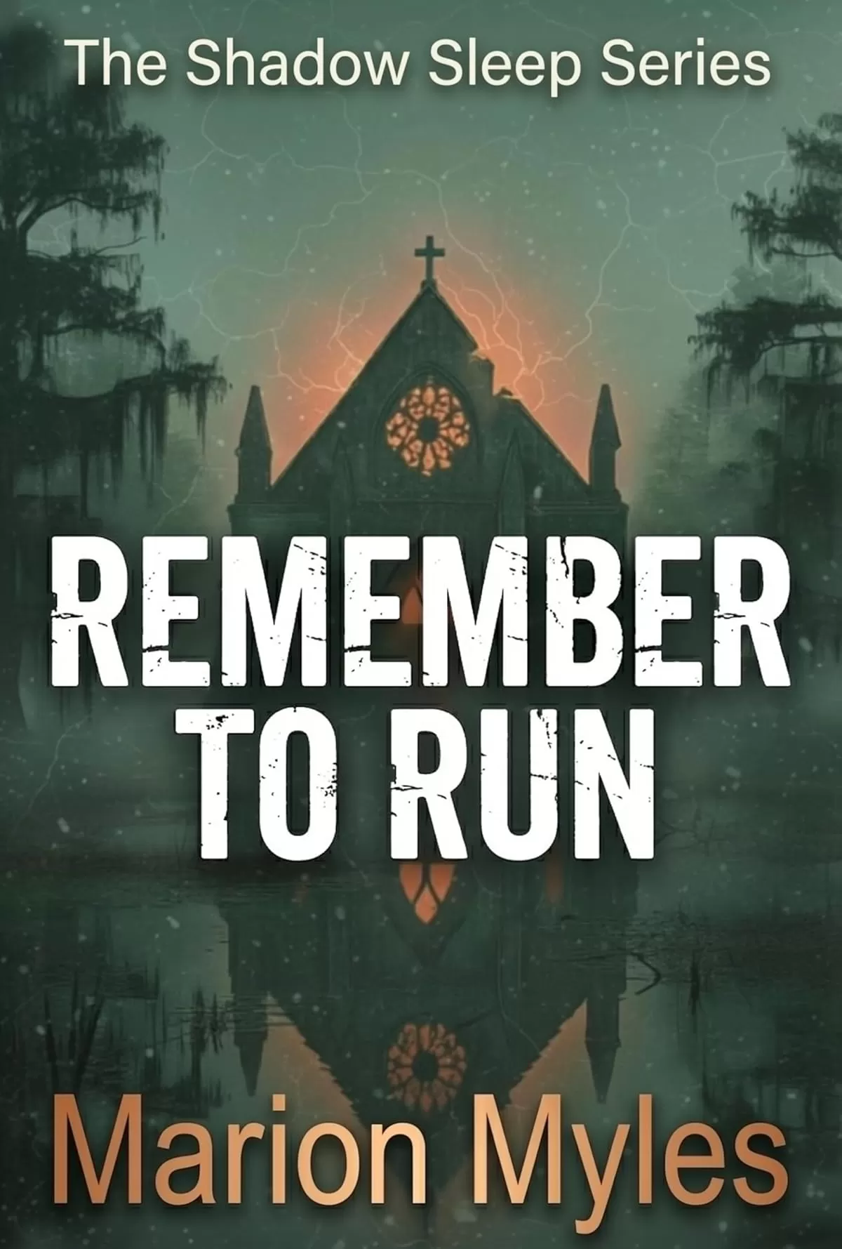 Remember to Run (The Shadow Sleep Series #1) by Marion Myles