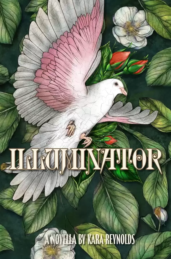 Illuminator (Gods of Tintar #1.5) by Kara Reynolds
