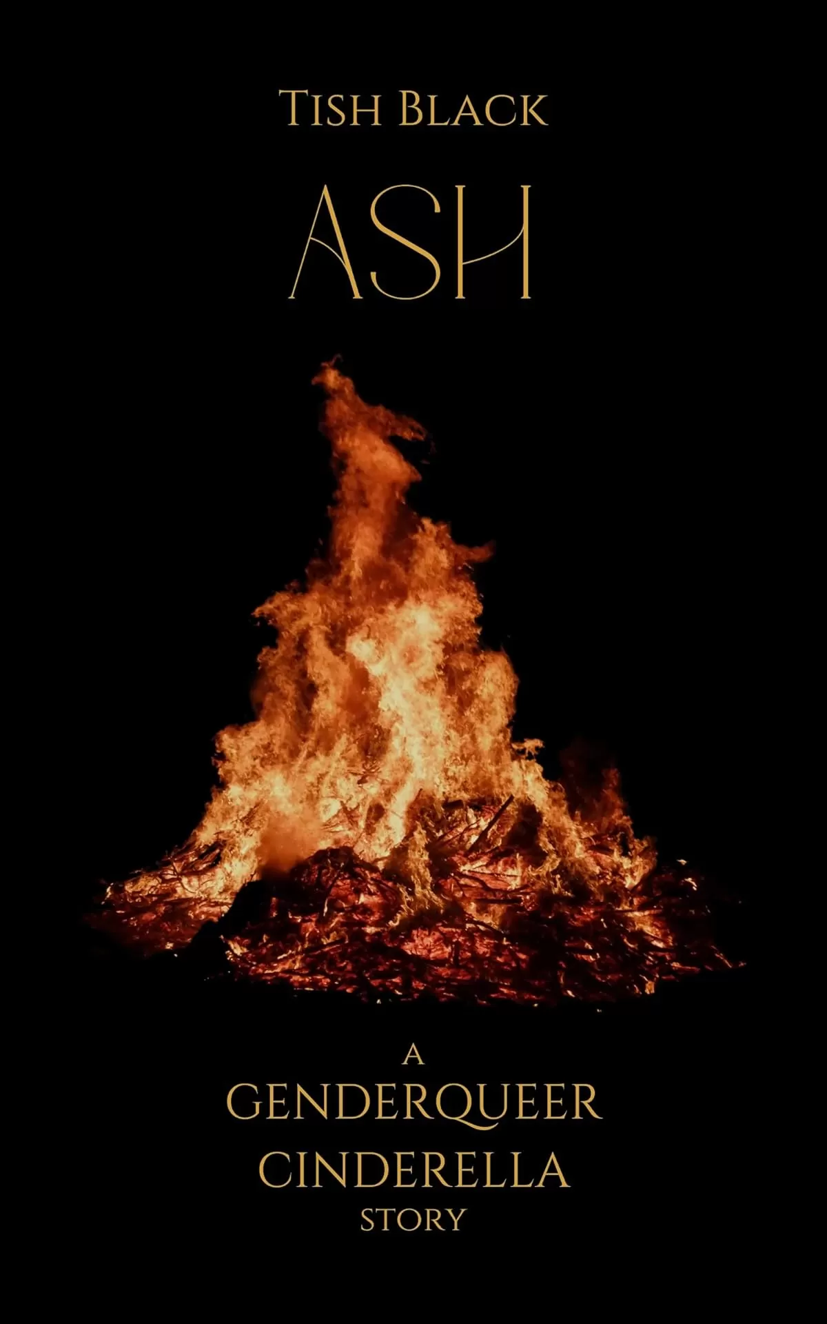 Ash: A Genderqueer Cinderella Story (Ebony, Blood, and Snow) by Tish Black