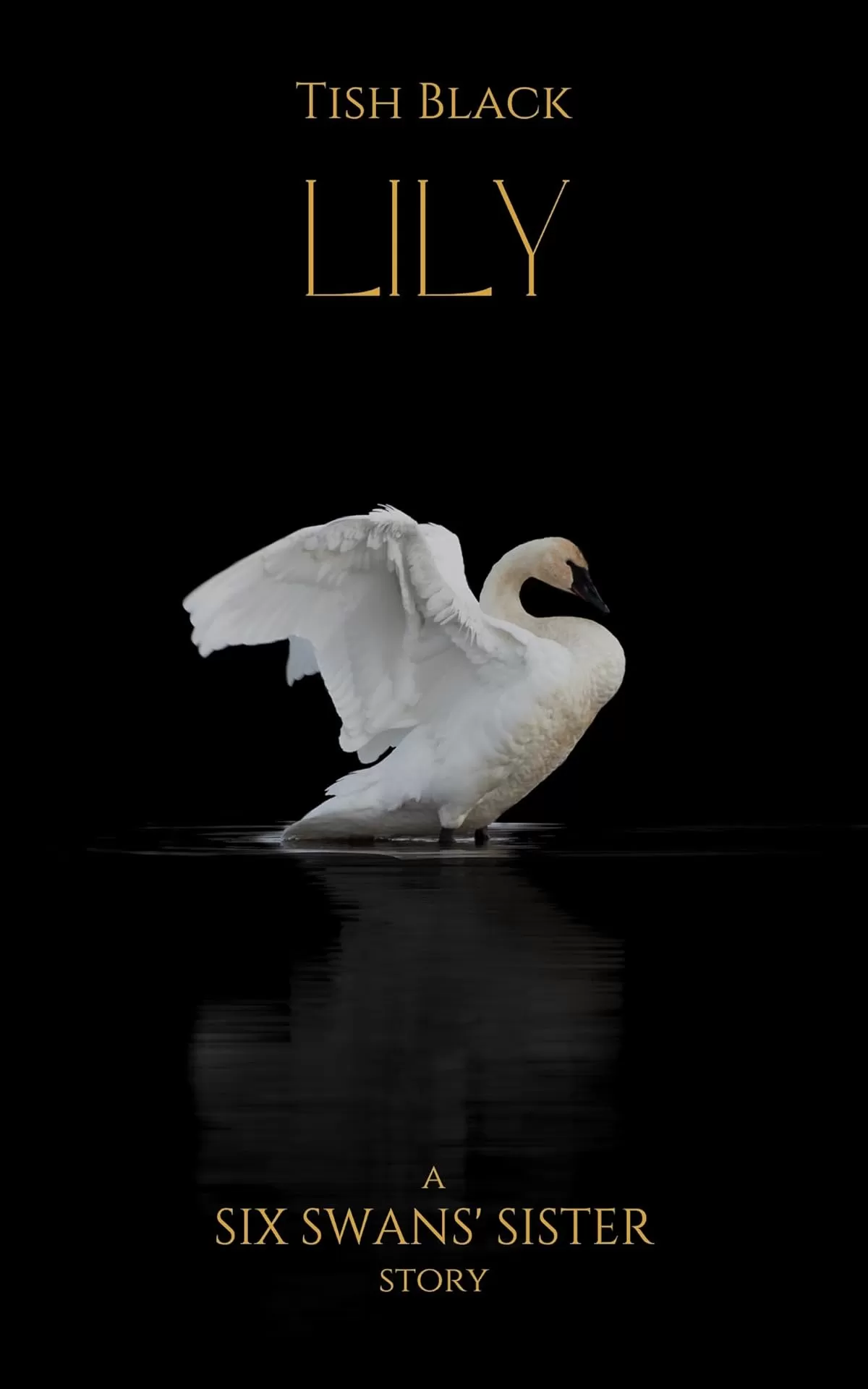 Lily: A Six Swans' Sister Story (Ebony, Blood, and Snow) by Tish Black