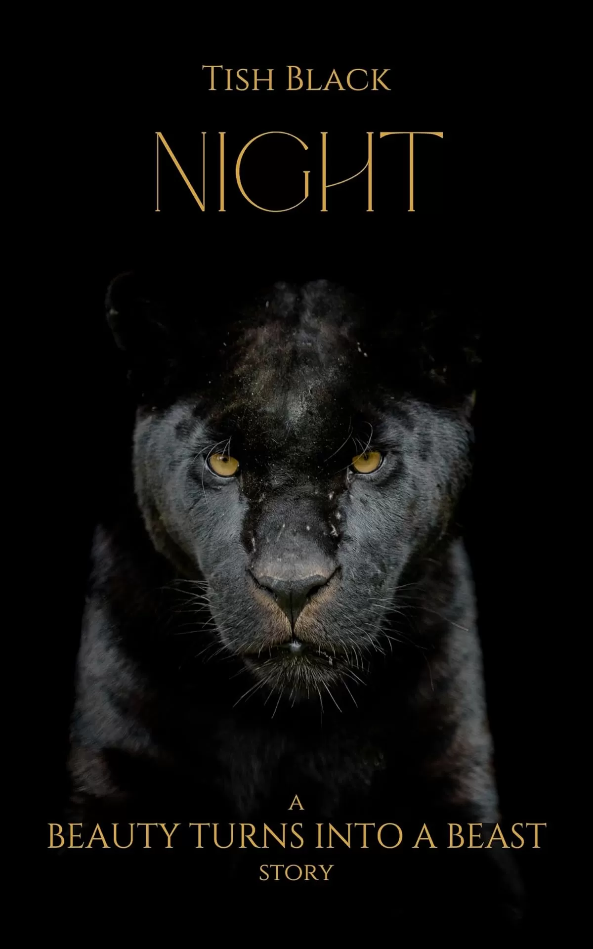Night: A Beauty Turns Into a Beast Story (Ebony, Blood, and Snow) by Tish Black