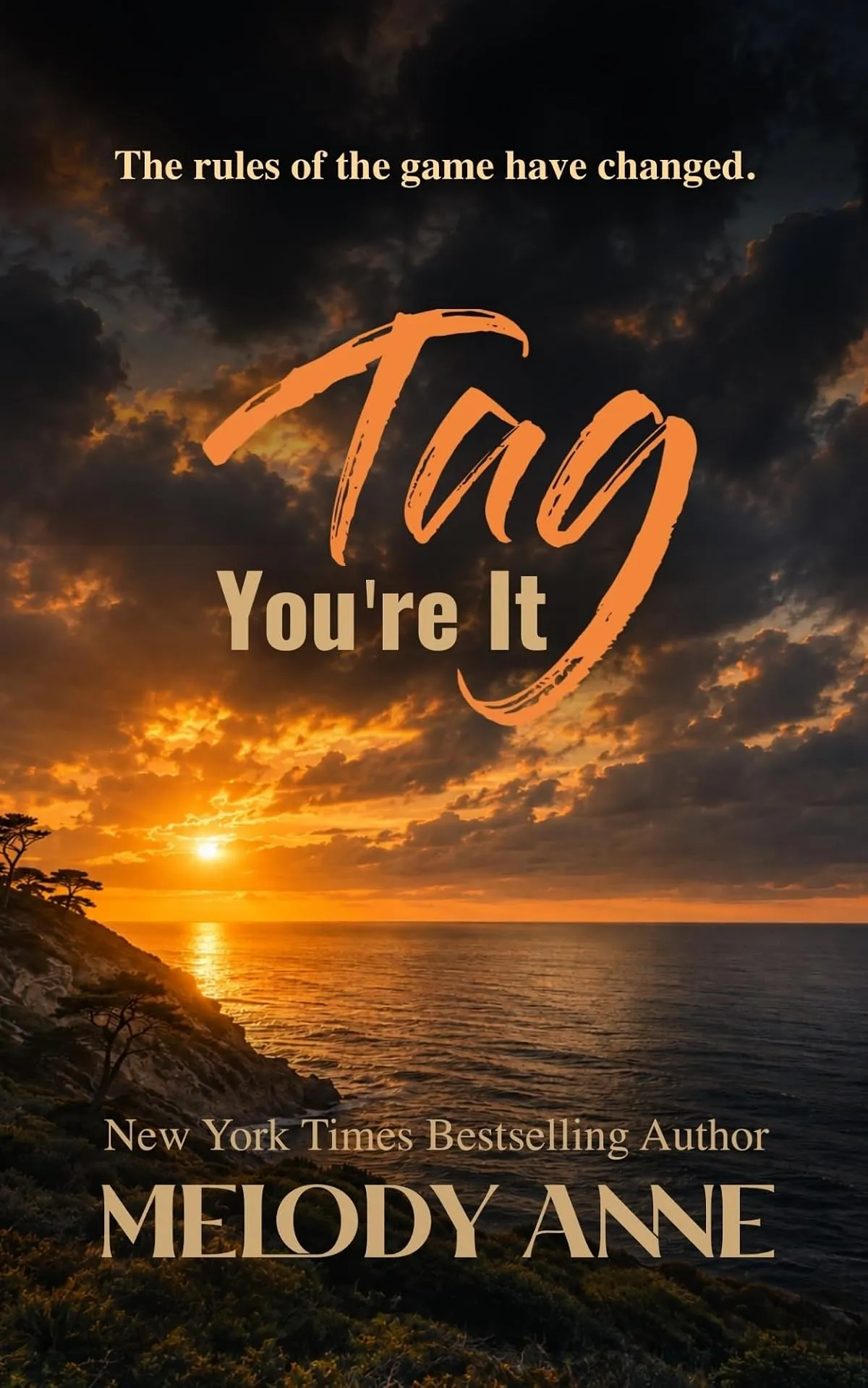 Tag . . . You're It