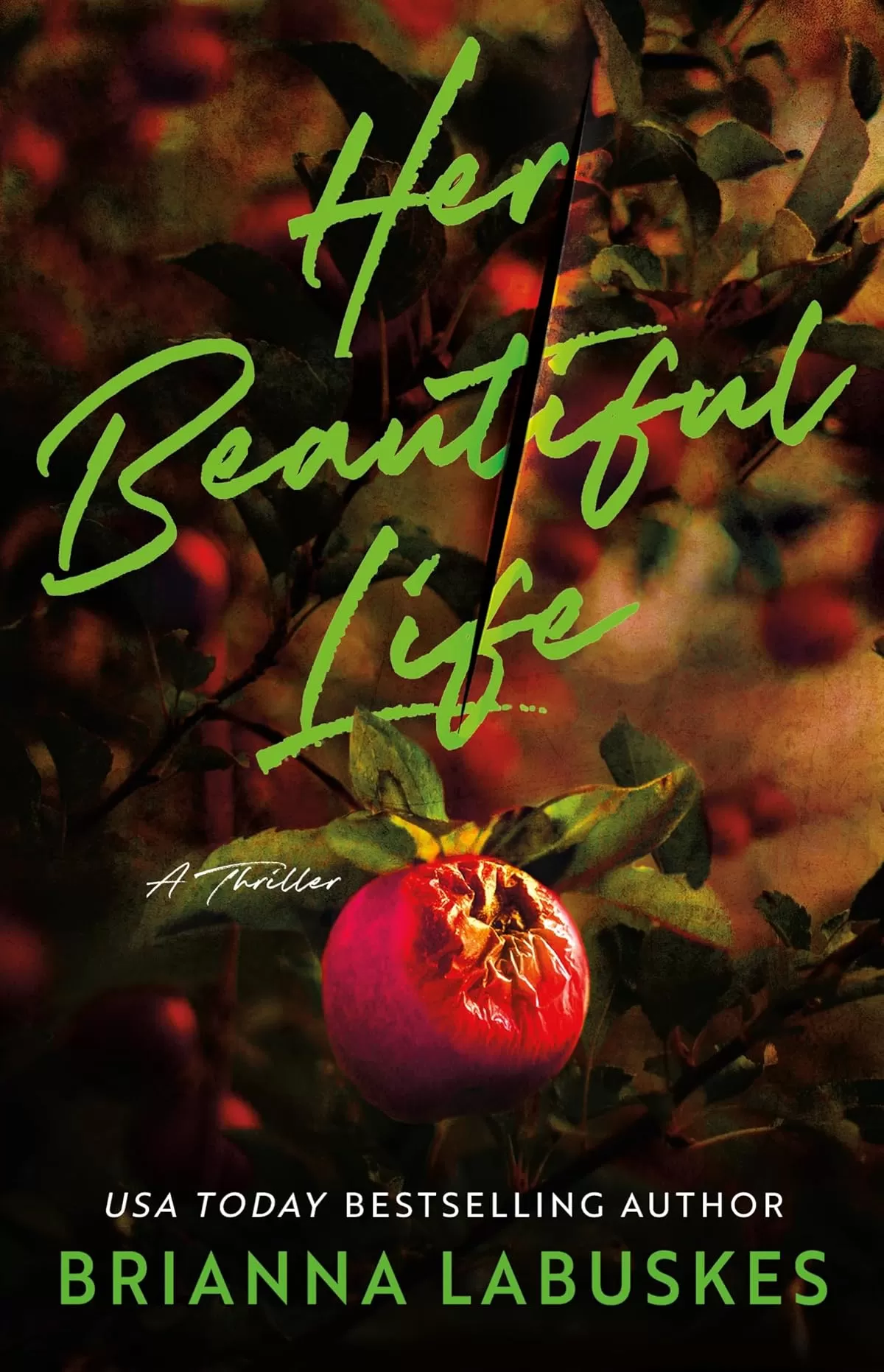 Her Beautiful Life by Brianna Labuskes