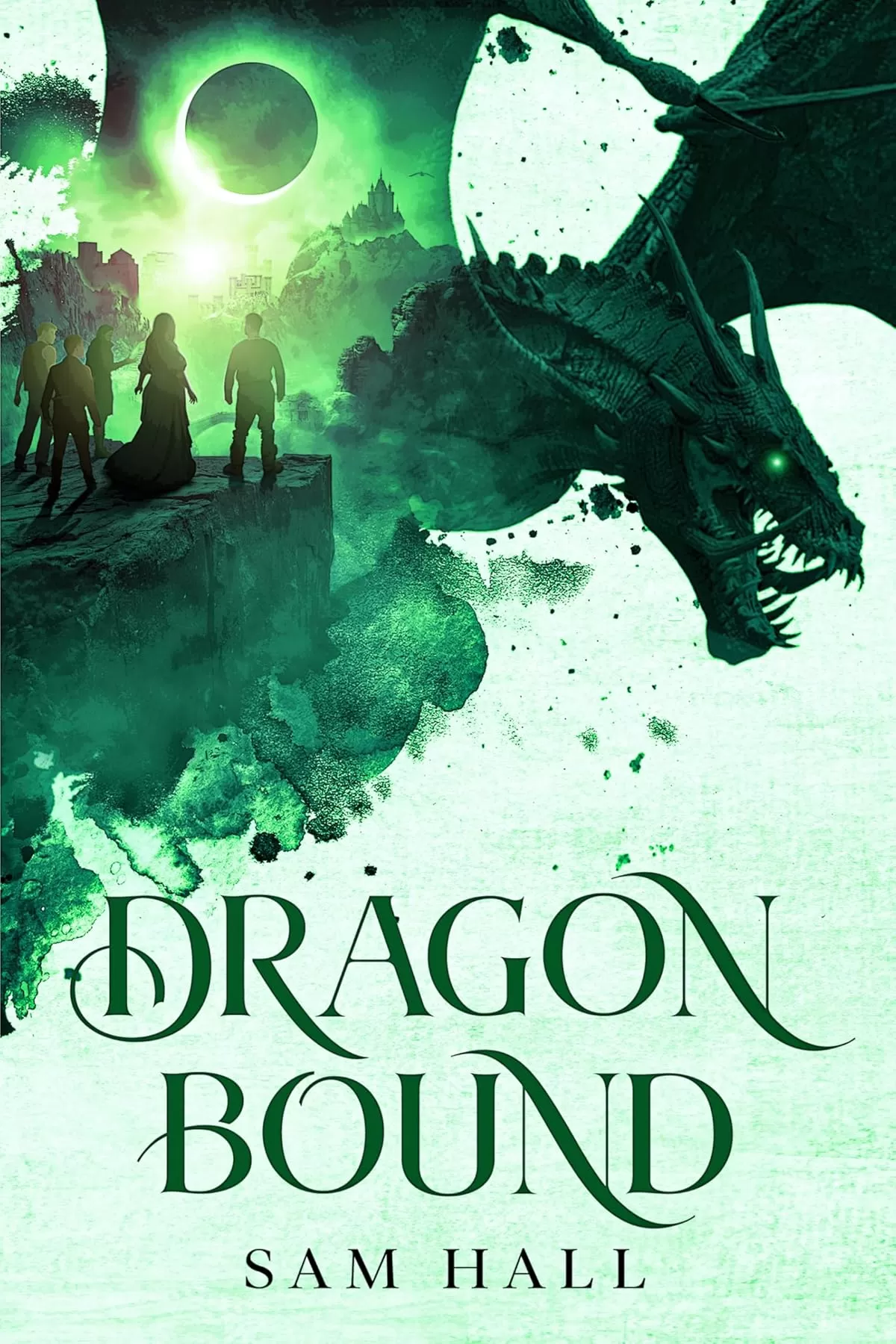 Dragon Bound (Dragon Rider Academy #1) by Sam Hall