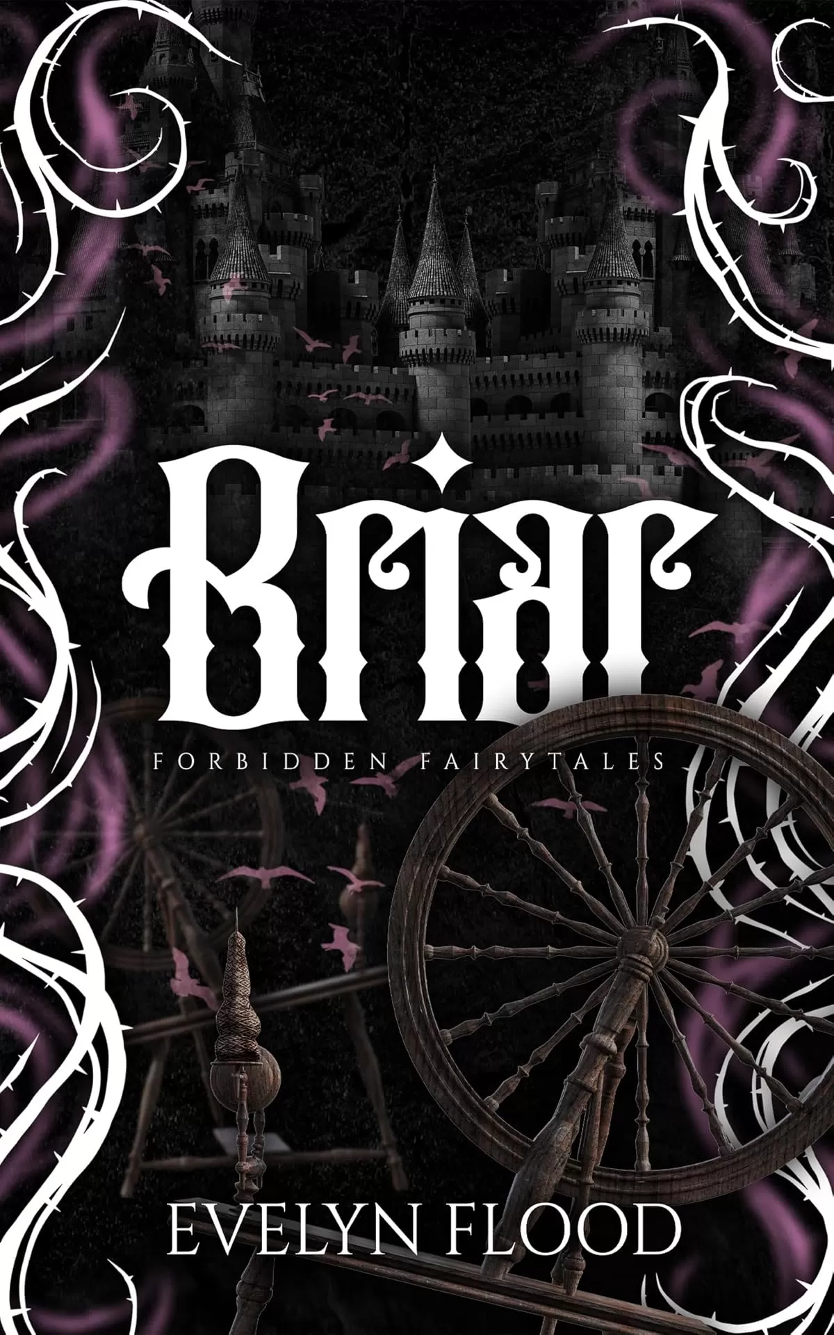 Briar: A why choose Sleeping Beauty retelling (Forbidden Fairytales) by Evelyn Flood