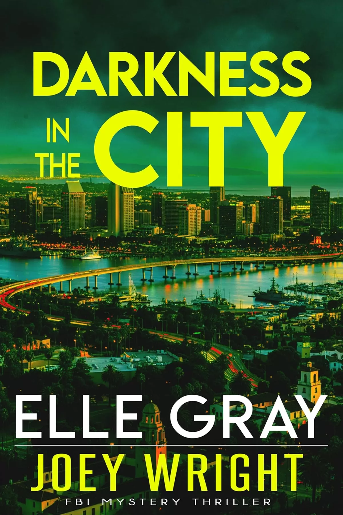 Darkness in the City (Joey Wright FBI Mystery Thriller #3) by Elle Gray