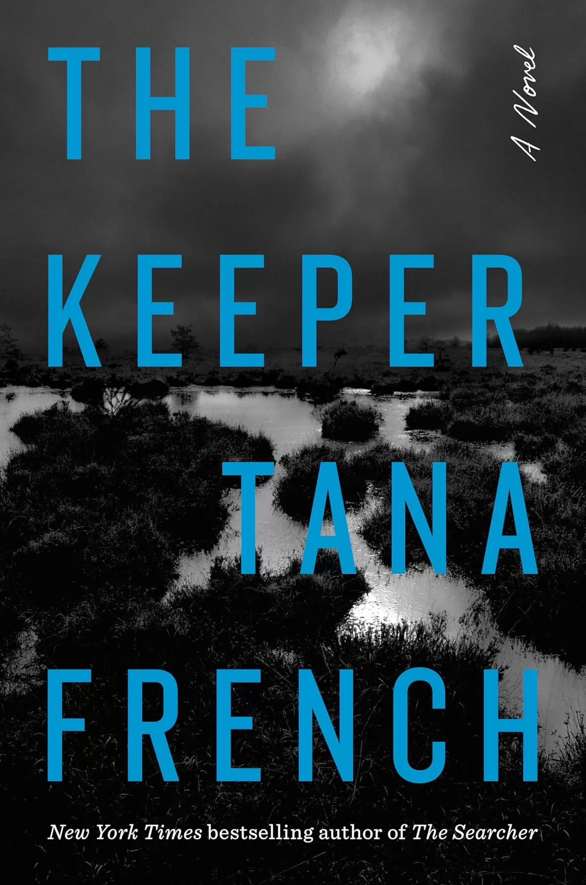 The Keeper (Cal Hooper #3) by Tana French