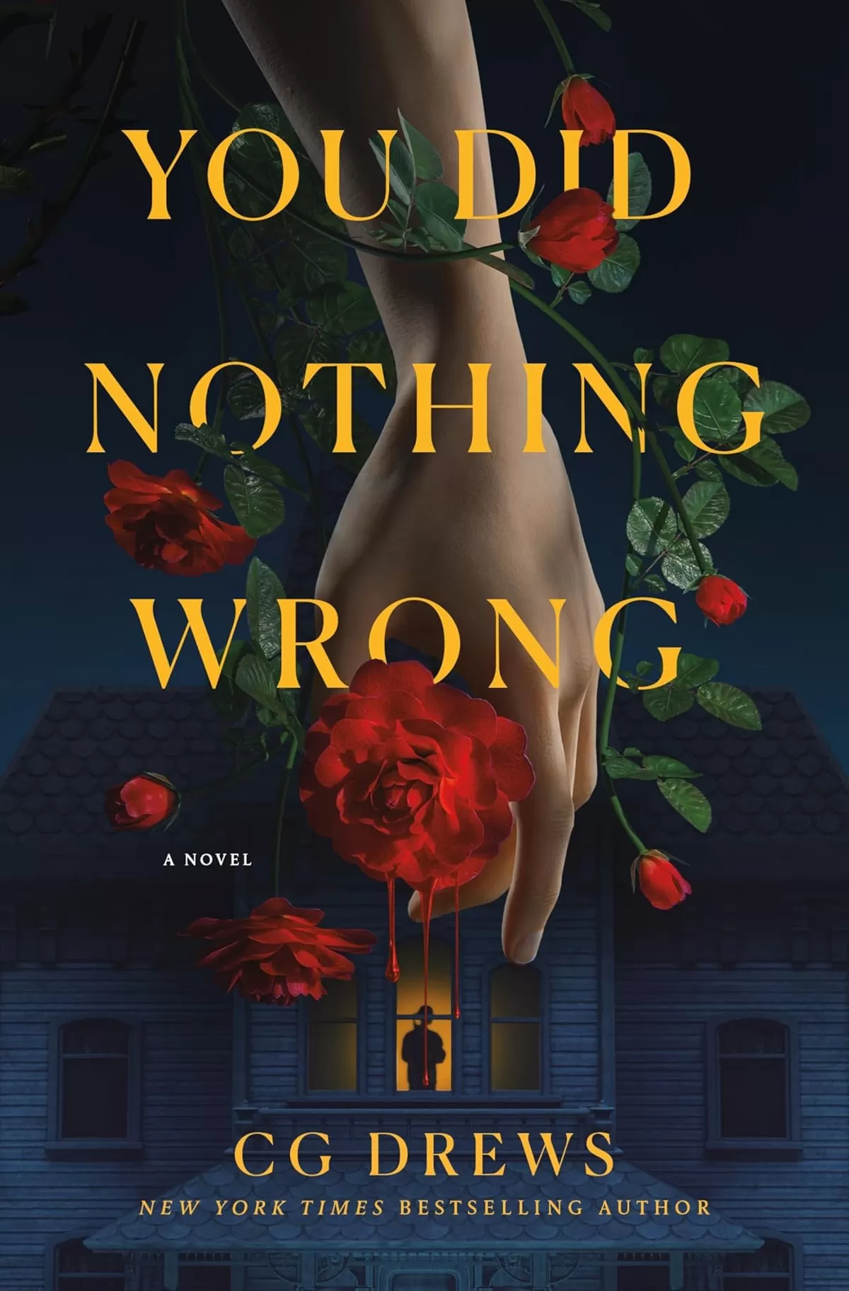 You Did Nothing Wrong by CG Drews