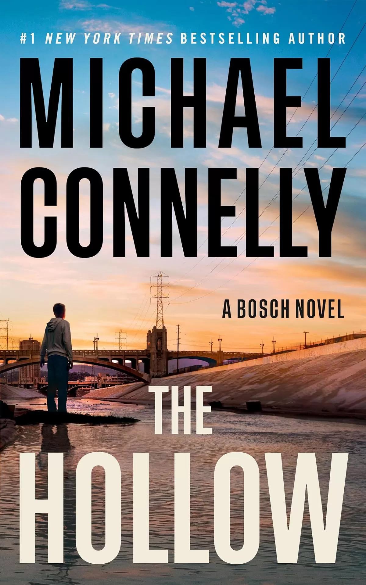 The Hollow (Harry Bosch #21) by Michael Connelly