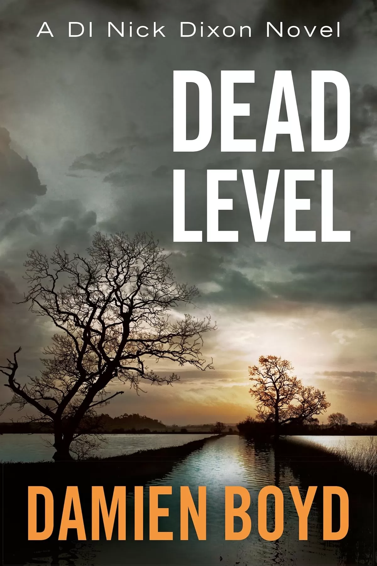 Dead Level (Detective Inspector Nick Dixon #5) by Damien Boyd