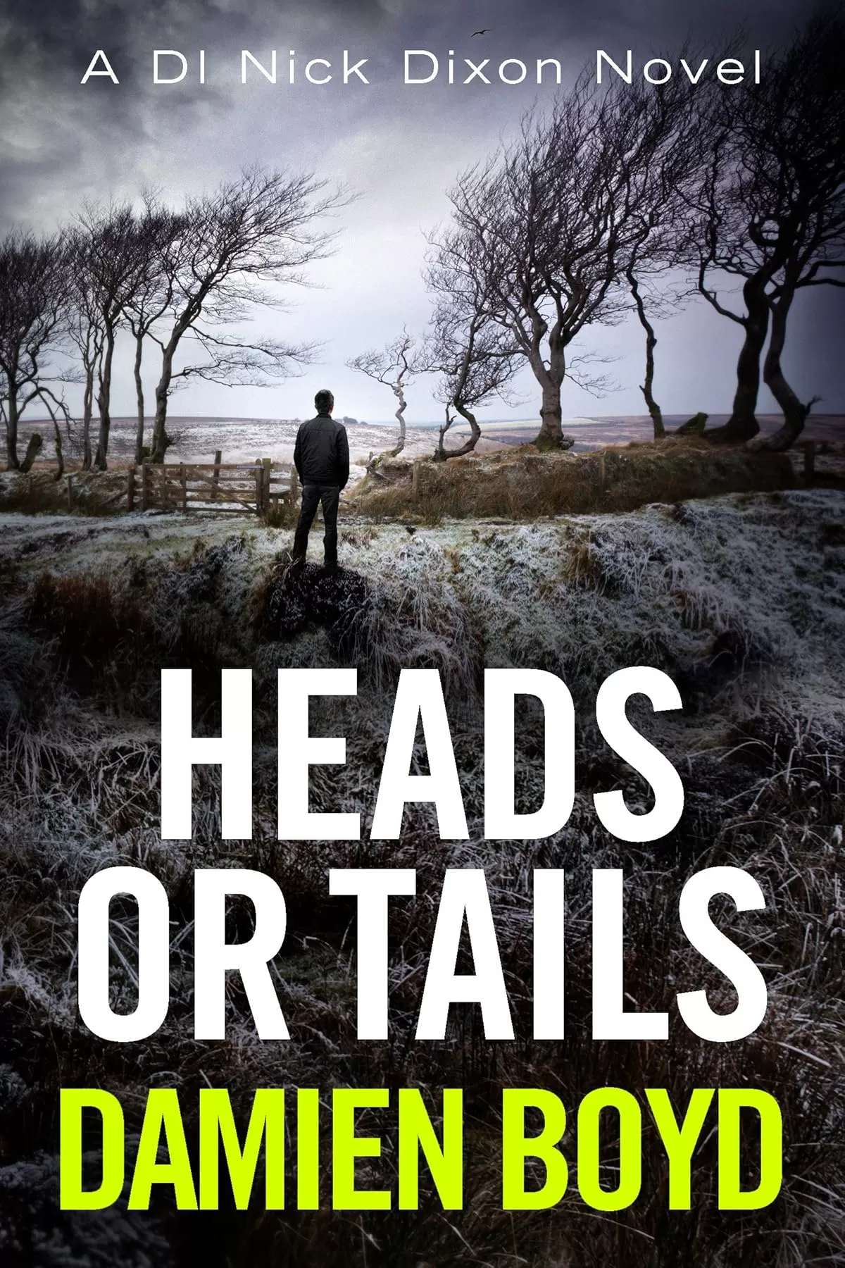 Heads or Tails (Detective Inspector Nick Dixon #7) by Damien Boyd