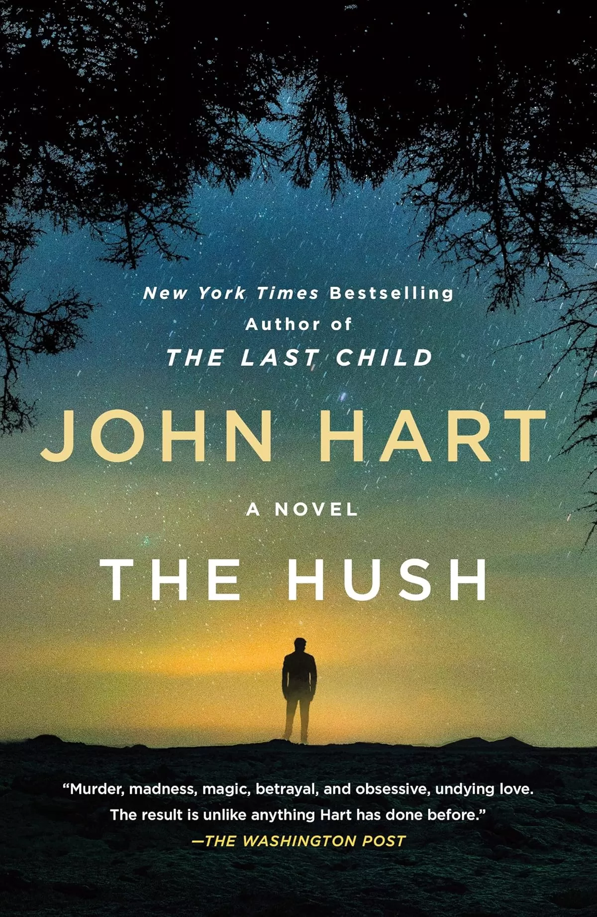 The Hush (Johnny Merrimon #2) by John Hart