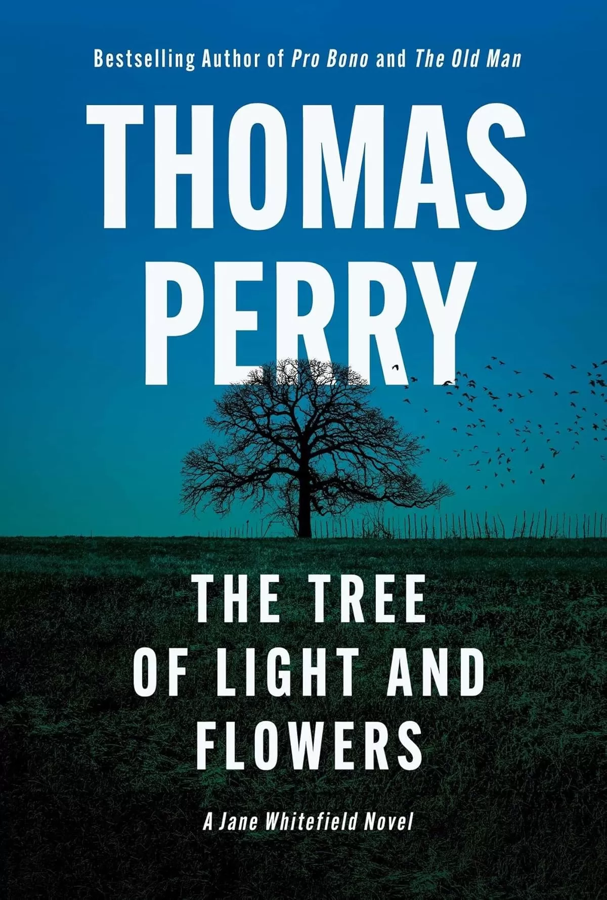 The Tree of Light and Flowers (Jane Whitefield #10) by Thomas Perry