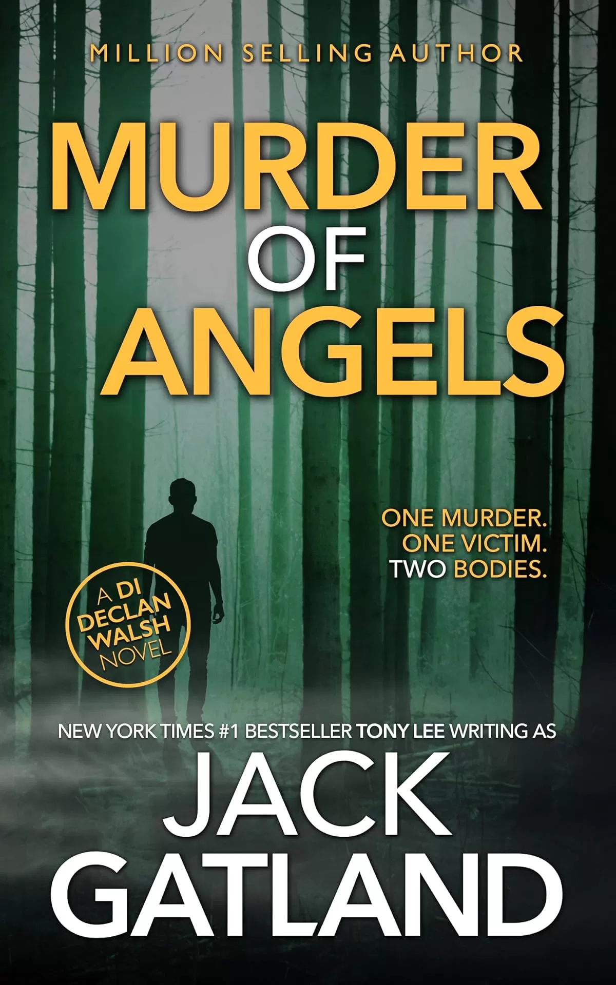 Murder Of Angels (Detective Inspector Declan Walsh #2) by Jack Gatland