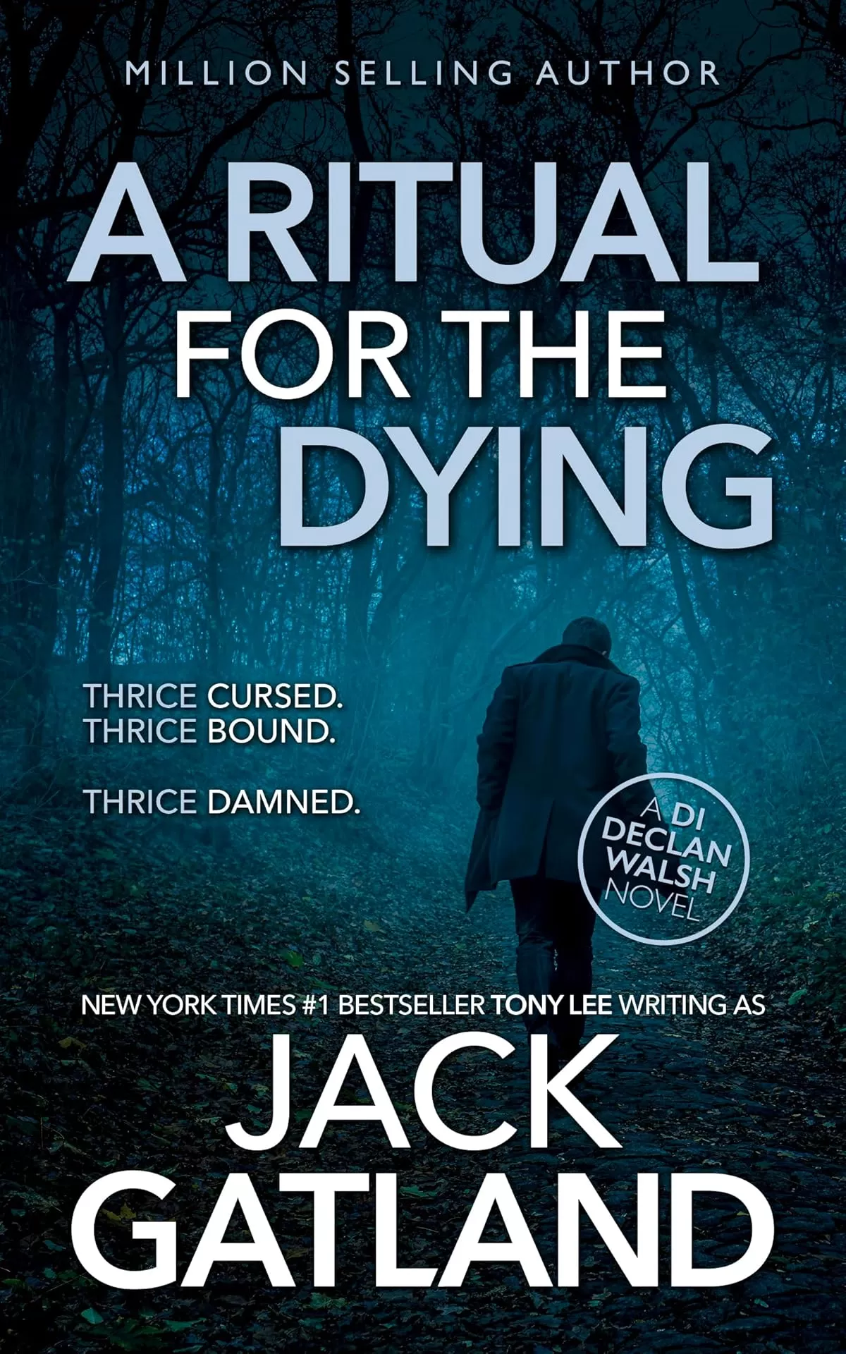 A Ritual For the Dying (Detective Inspector Declan Walsh #6) by Jack Gatland