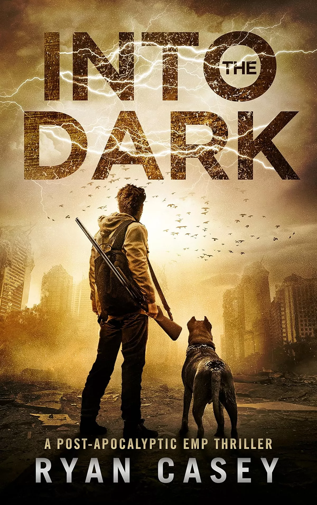Into the Dark (Into the Dark #1) by Ryan Casey