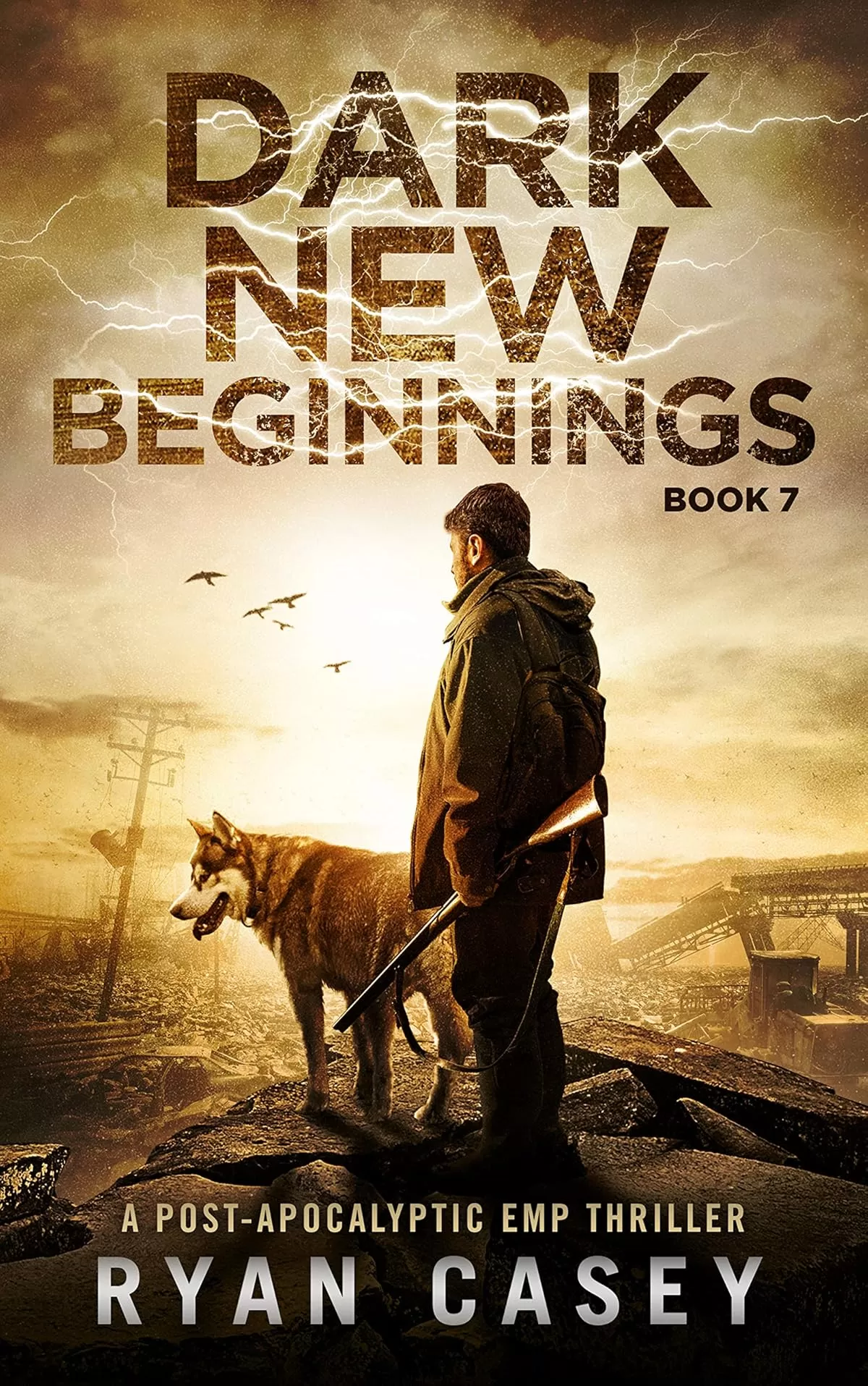 Dark New Beginnings (Into the Dark #7) by Ryan Casey