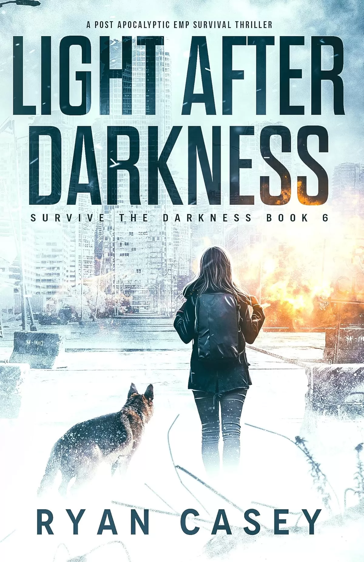 Light After Darkness (Survive the Darkness #6) by Ryan Casey