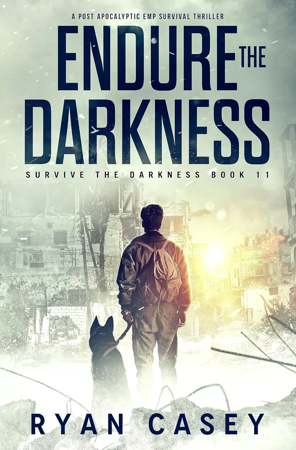 Endure the Darkness (Survive the Darkness #11) by Ryan Casey