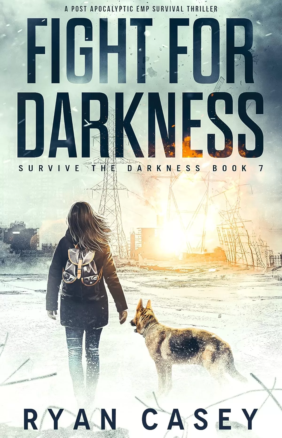 Fight For Darkness (Survive the Darkness #7) by Ryan Casey
