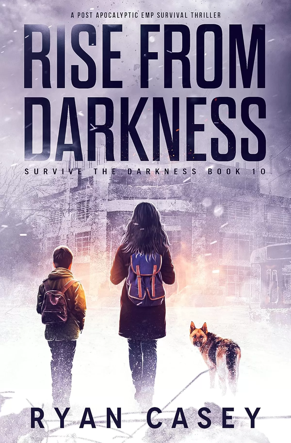 Rise From Darkness (Survive the Darkness #10) by Ryan Casey