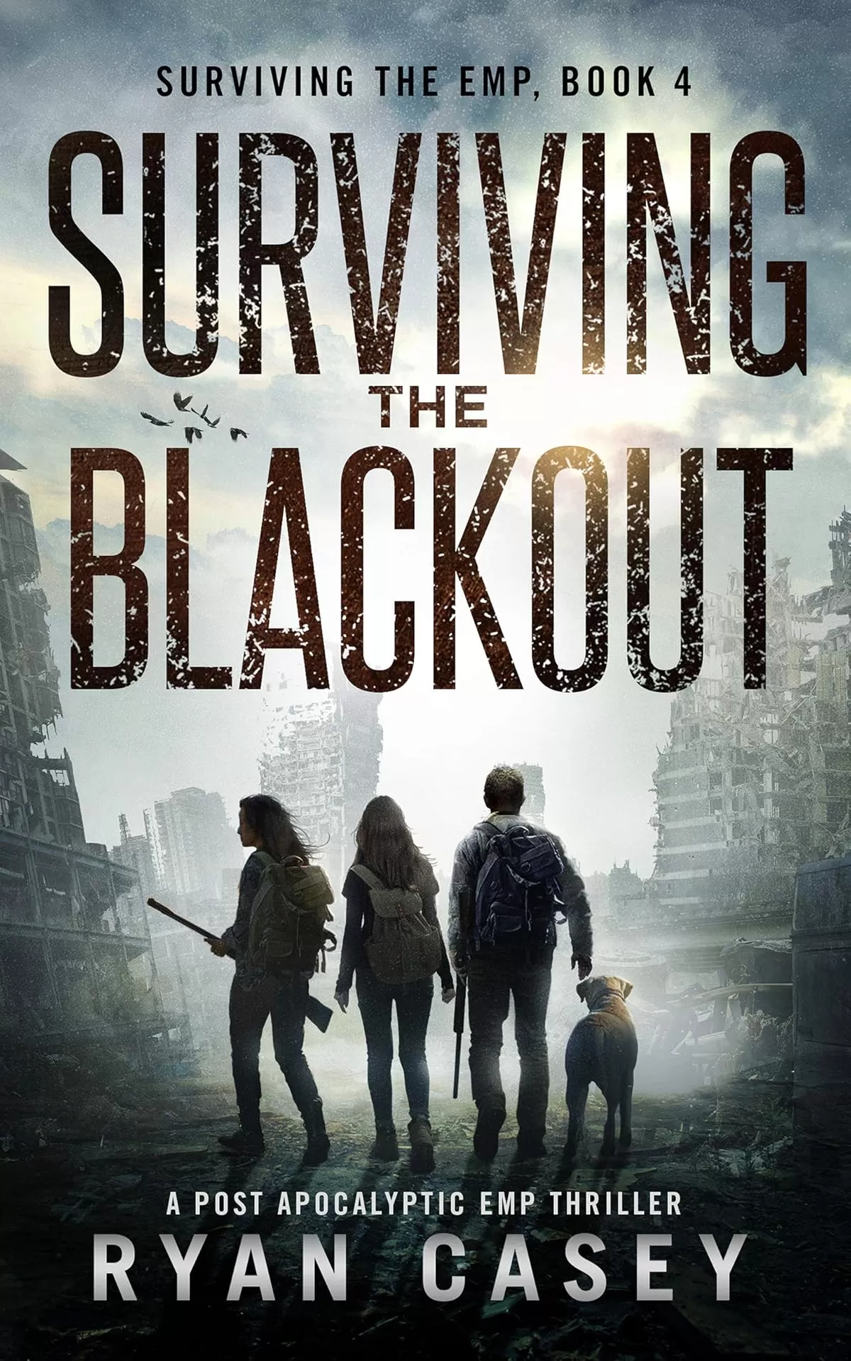 Surviving the Blackout (Surviving the EMP #4) by Ryan Casey
