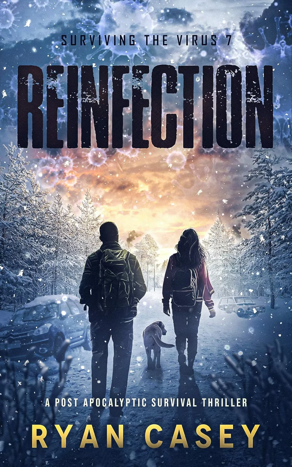 Reinfection (Surviving the Virus #7) by Ryan Casey