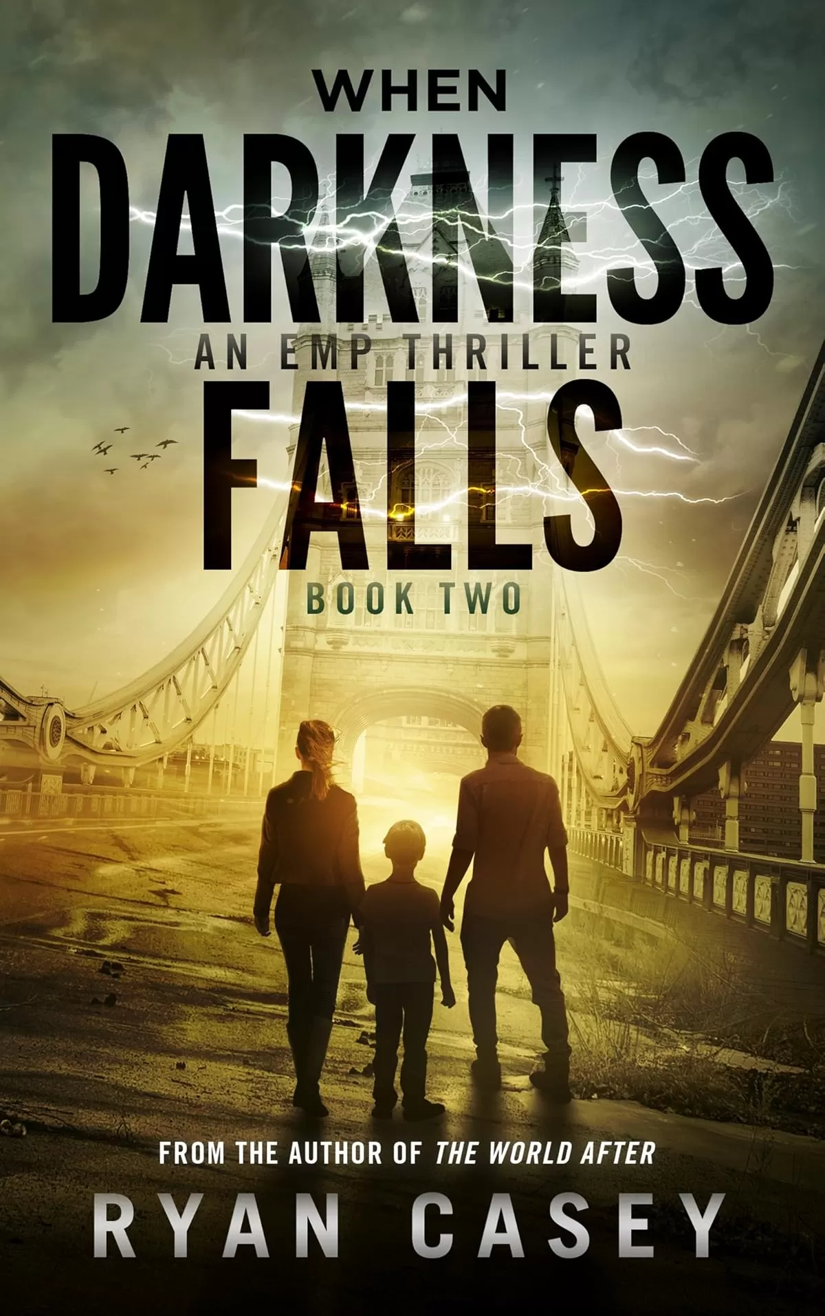 When Darkness Falls, Book 2 (When Darkness Falls #2) by Ryan Casey