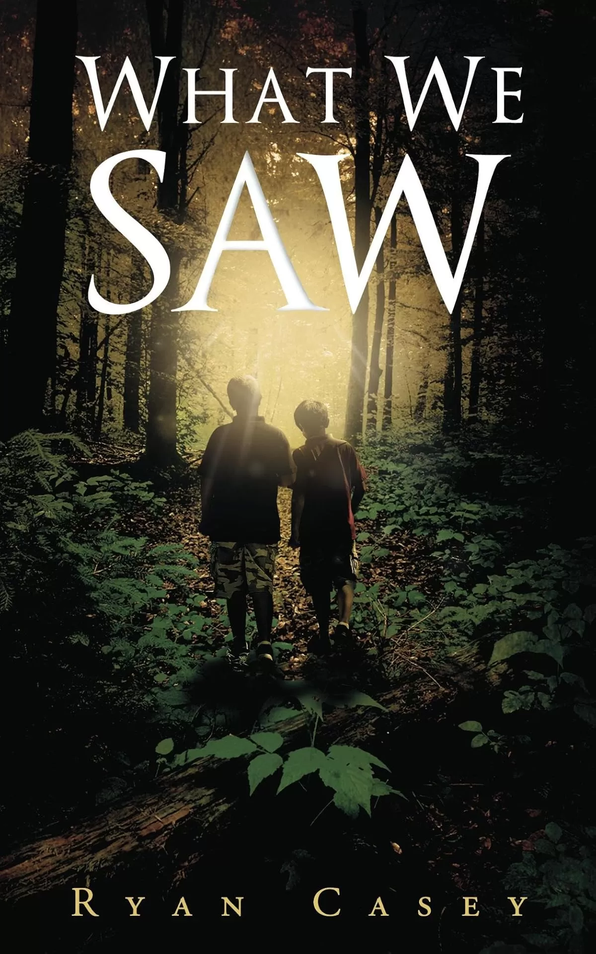 What We Saw by Ryan Casey