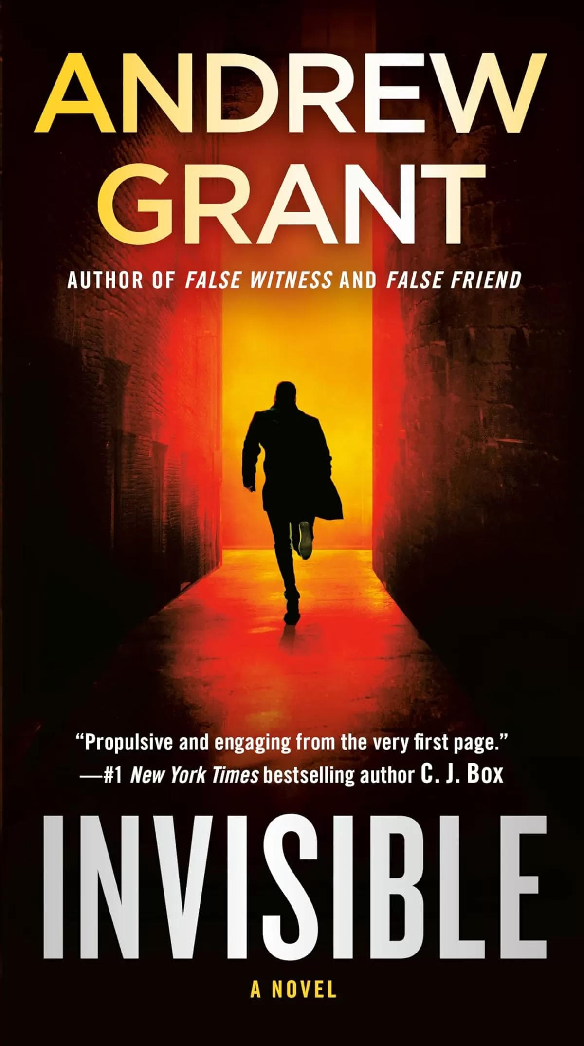 Invisible (Paul McGrath #1) by Andrew Grant