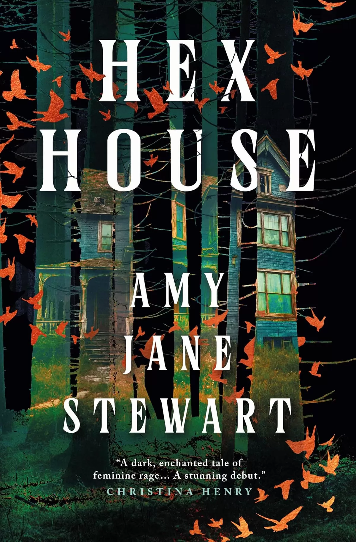 Hex House by Amy Jane Stewart