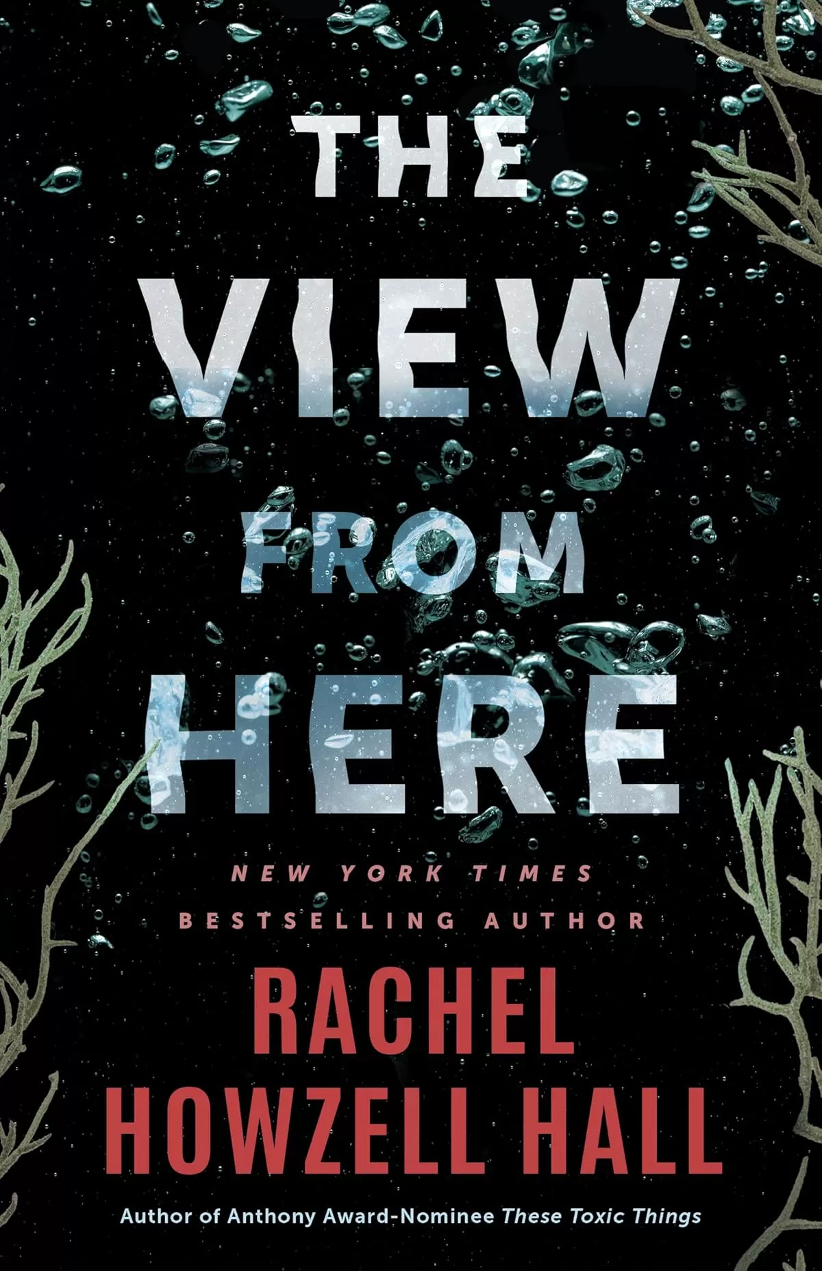The View from Here by Rachel Howzell Hall