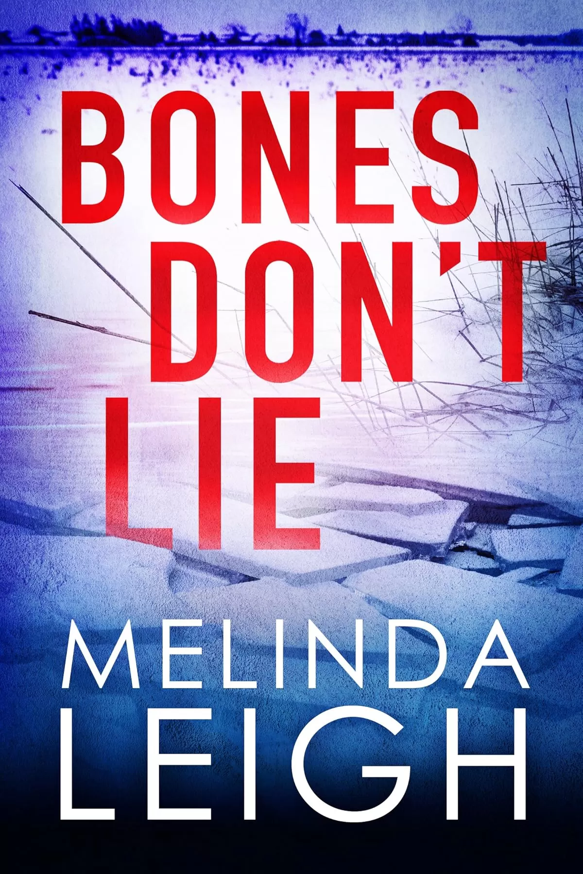 Bones Don't Lie (Morgan Dane #3) by Melinda Leigh