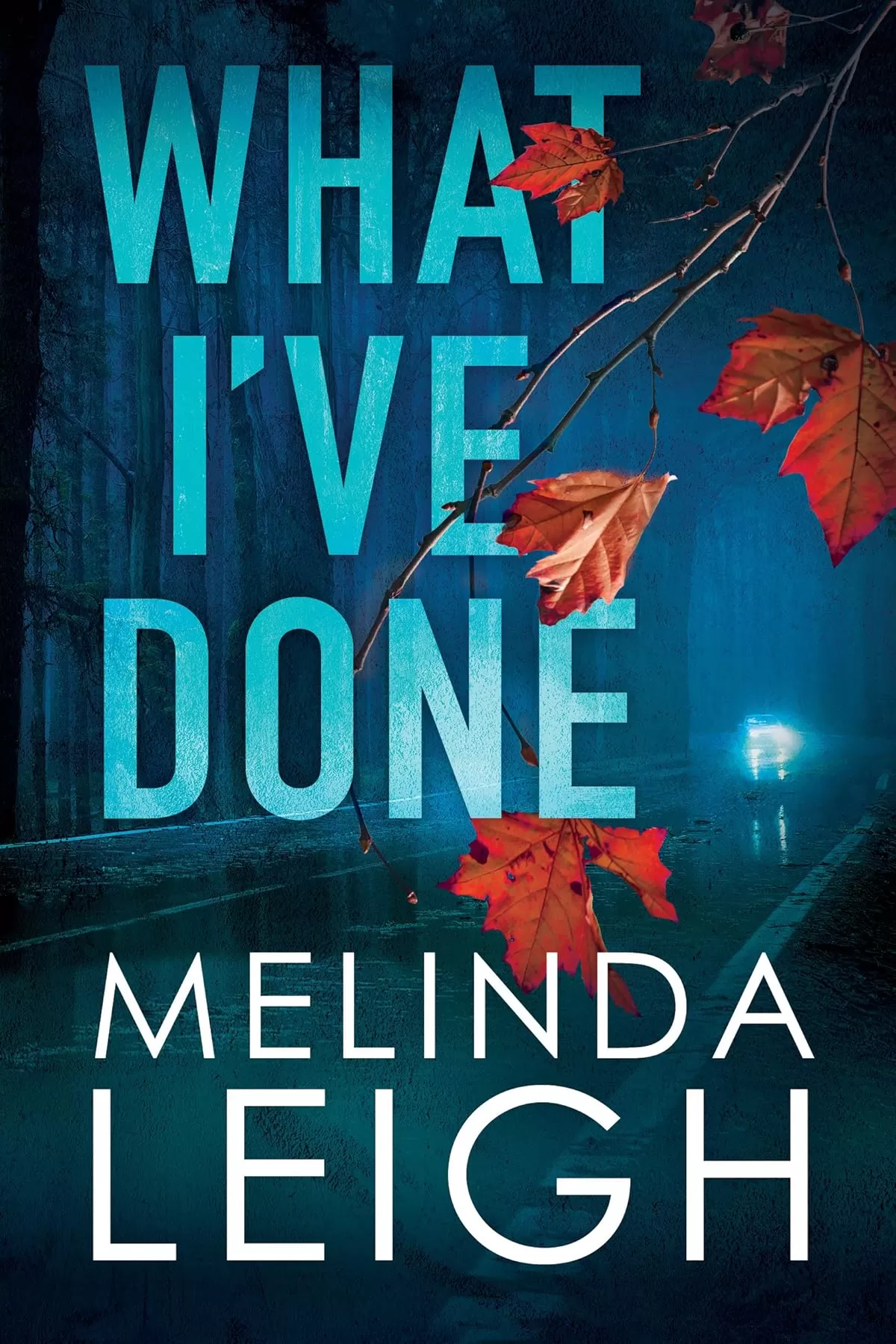 What I've Done (Morgan Dane #4) by Melinda Leigh