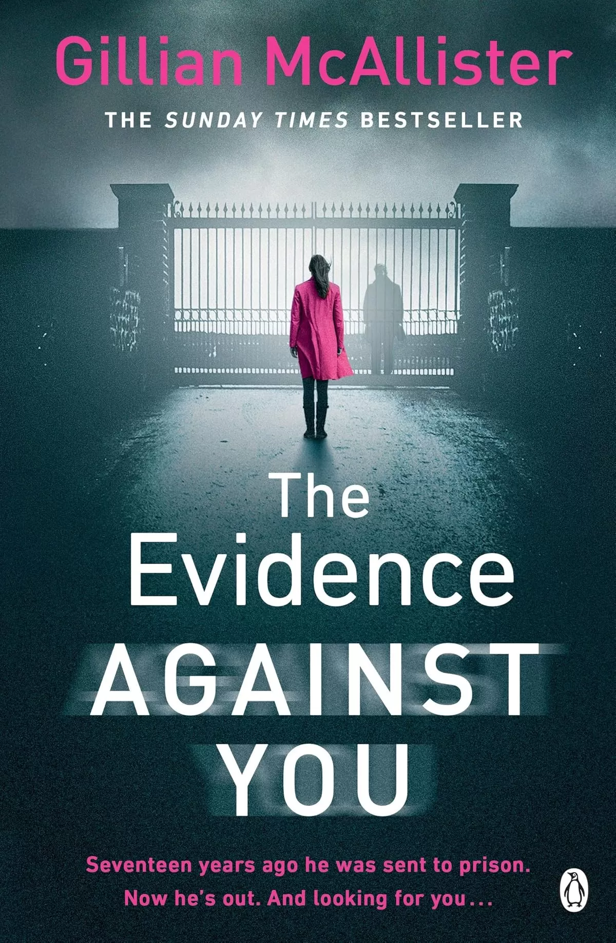 Evidence Against You by Gillian McAllister