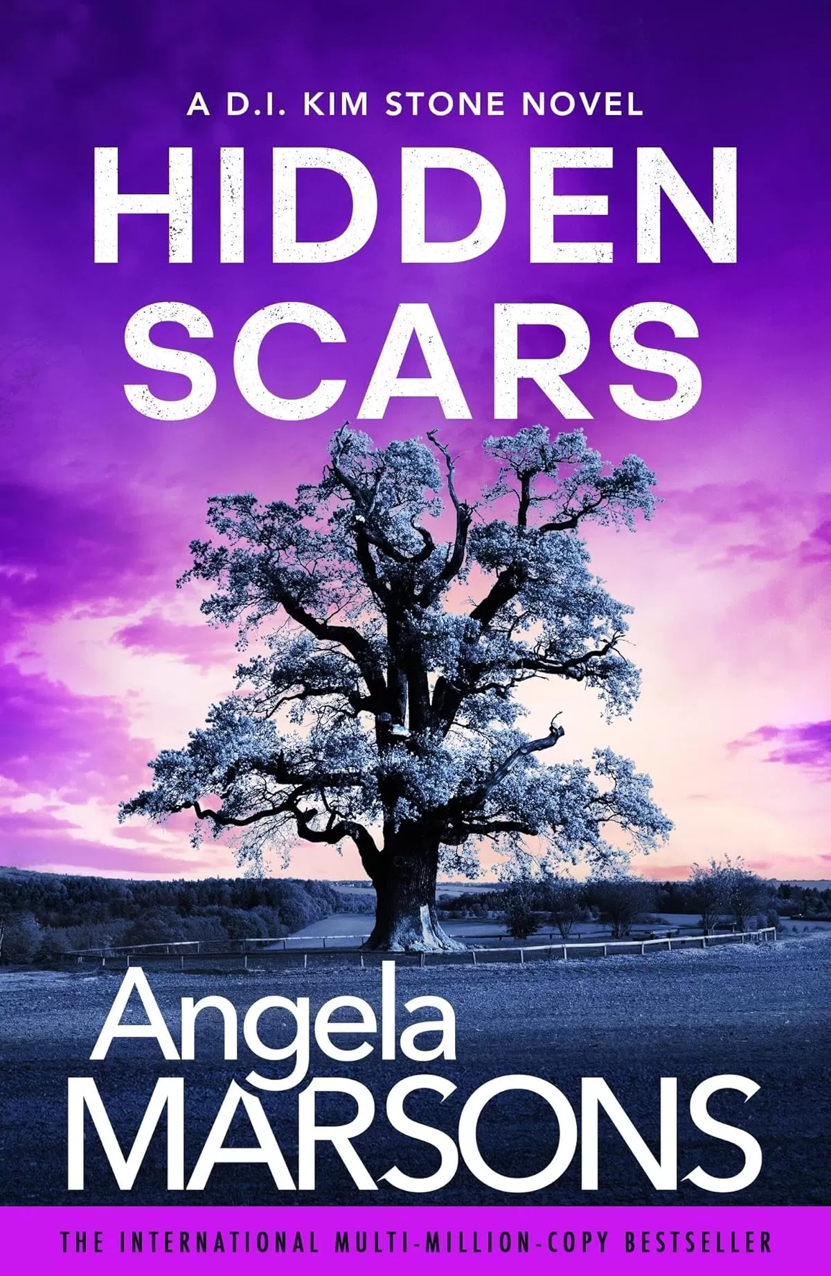 Hidden Scars (Detective Kim Stone #17) by Angela Marsons