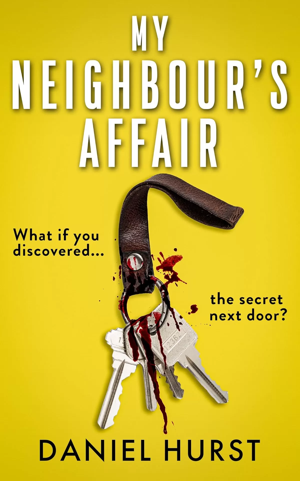 My Neighbour's Affair by Daniel Hurst